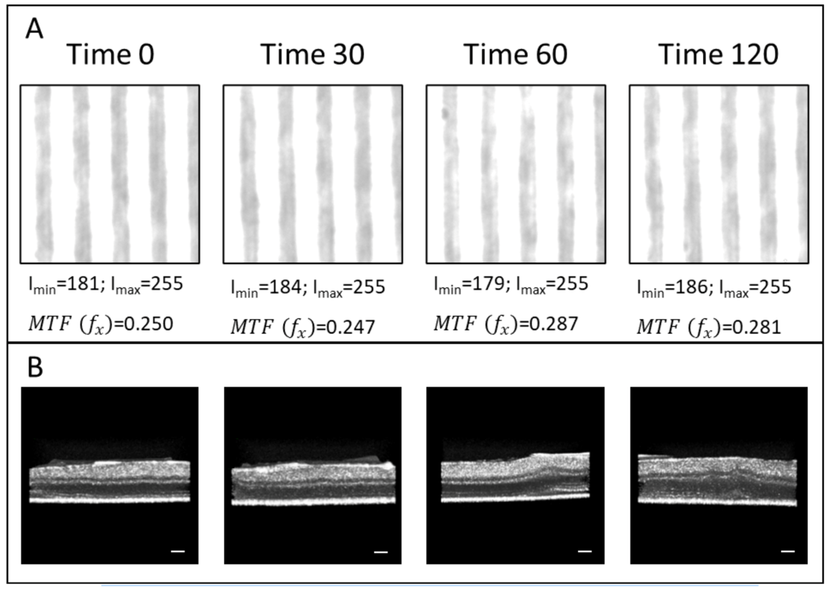 Photonics 12 00128 g003