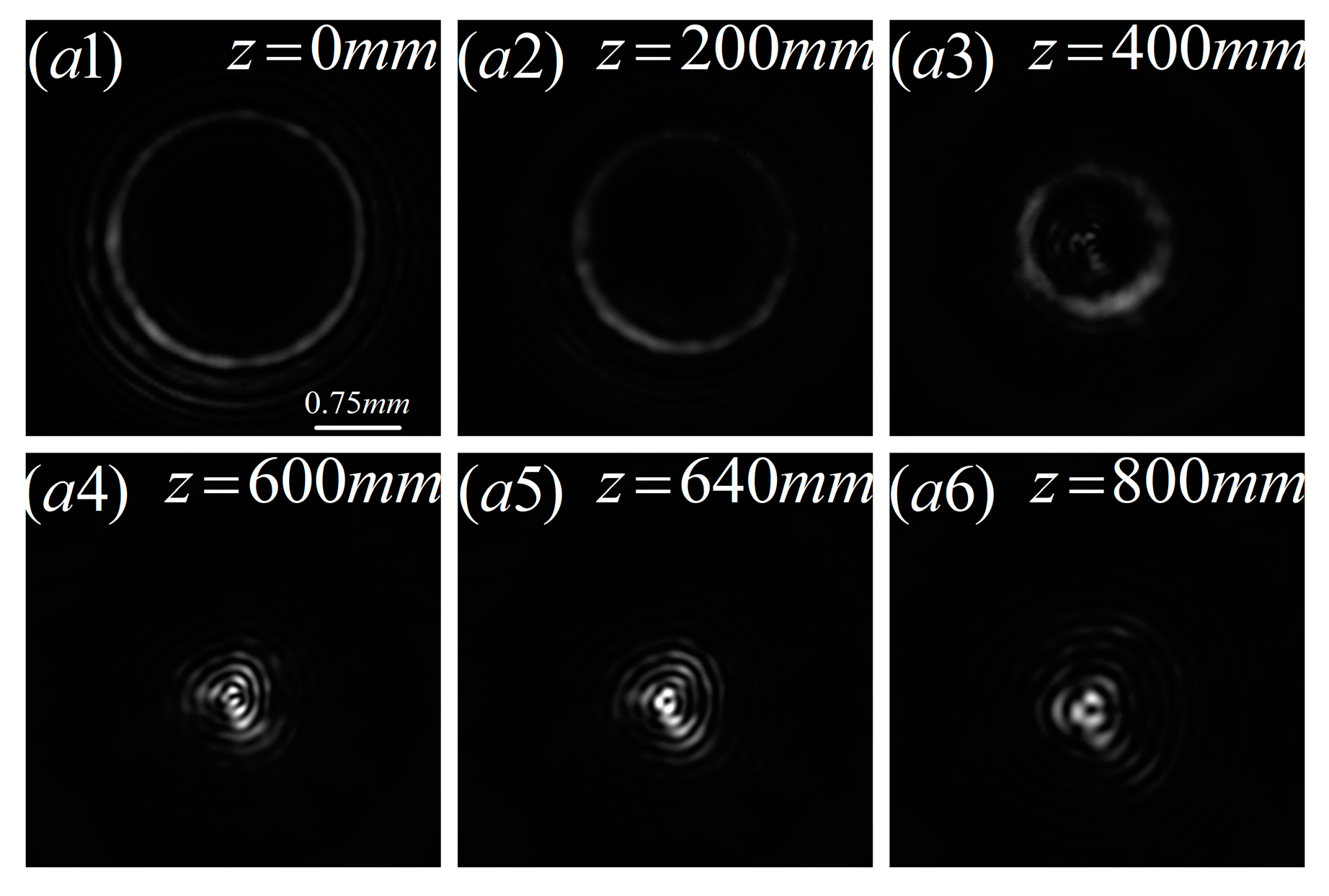 Photonics 12 00135 g004