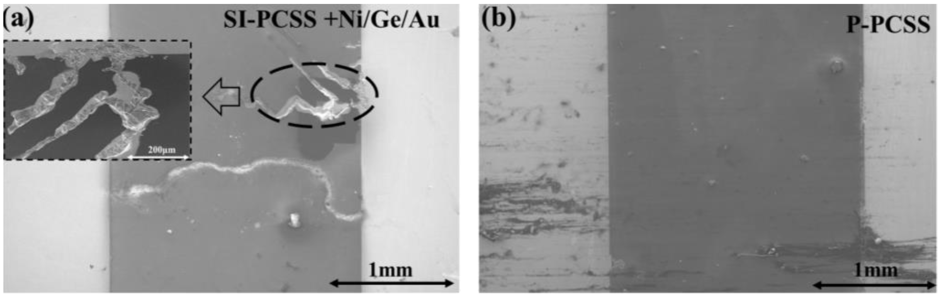 Photonics 12 00152 g011