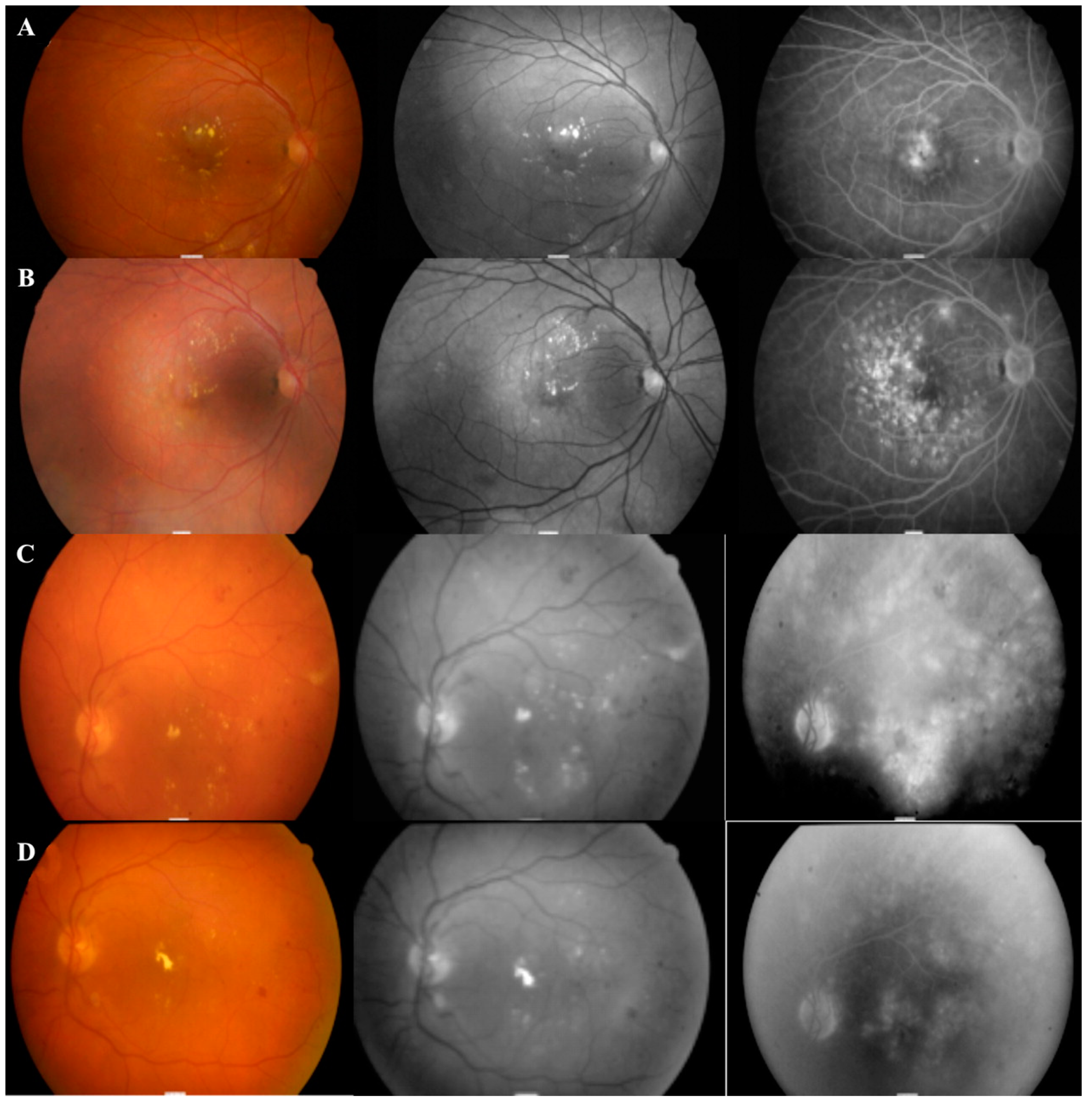 Photonics 12 00156 g002