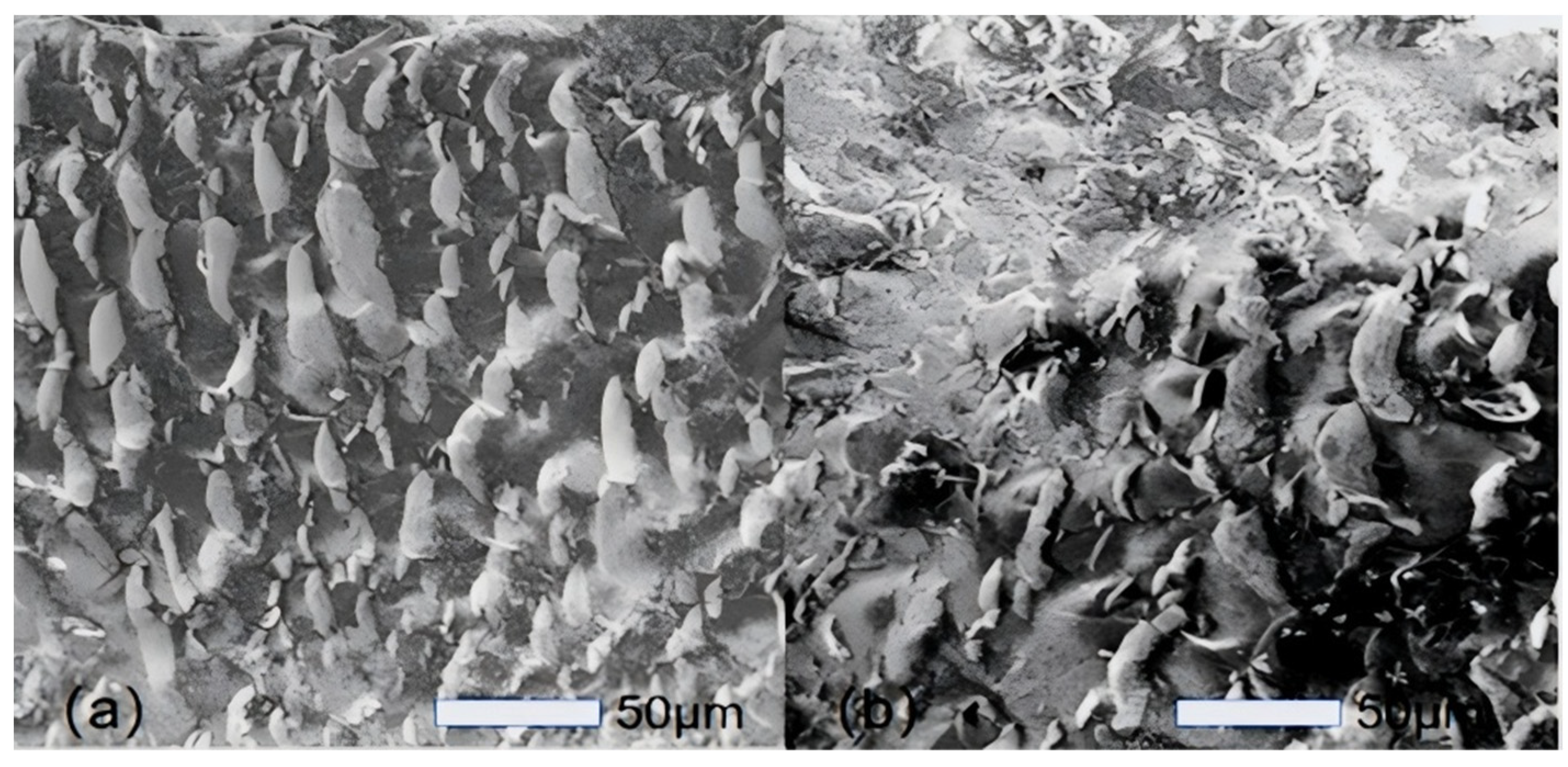 Photonics 12 00162 g010
