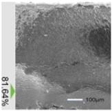 Photonics 12 00162 i033