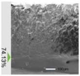 Photonics 12 00162 i043