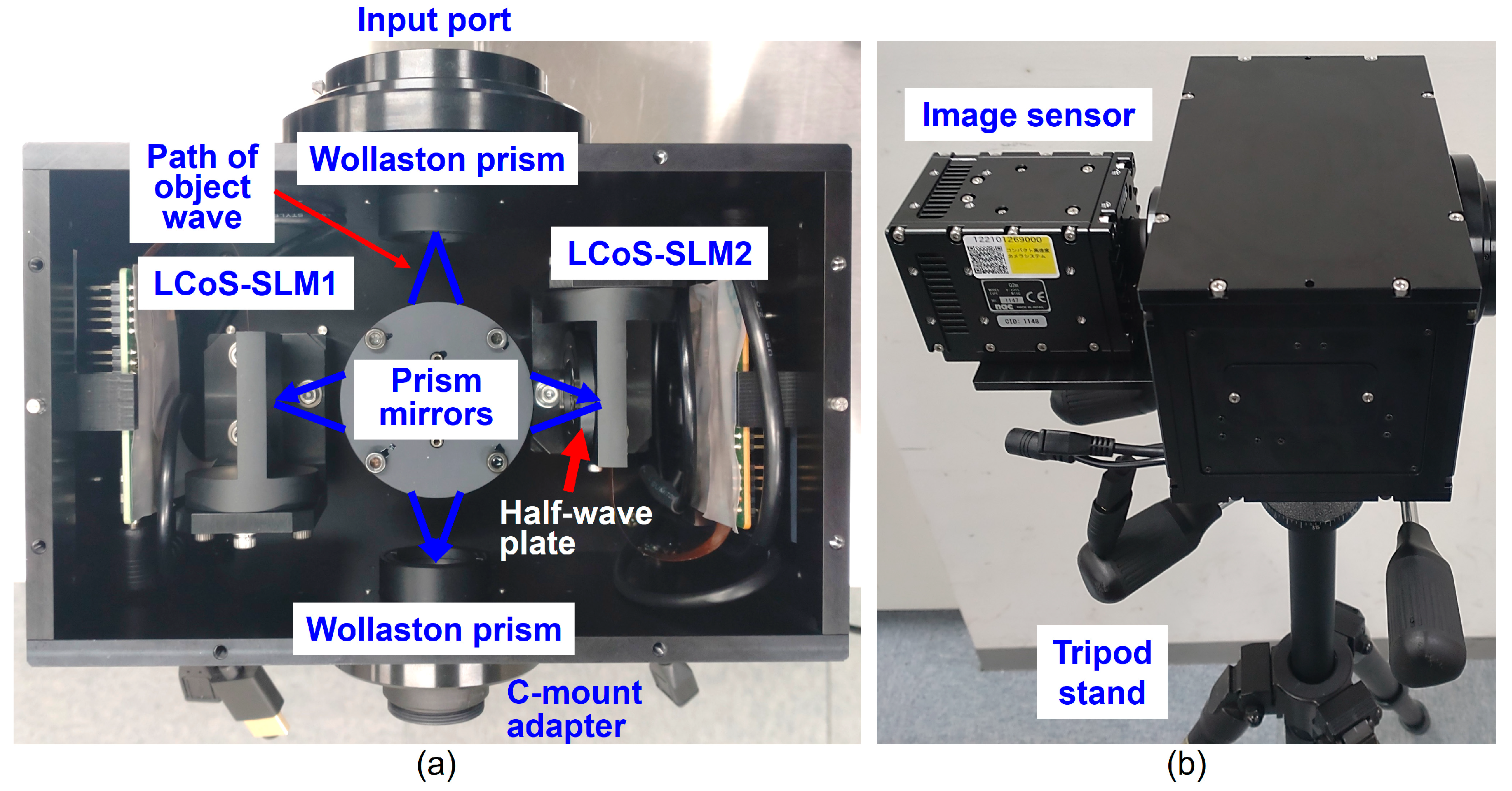 Photonics 12 00167 g002