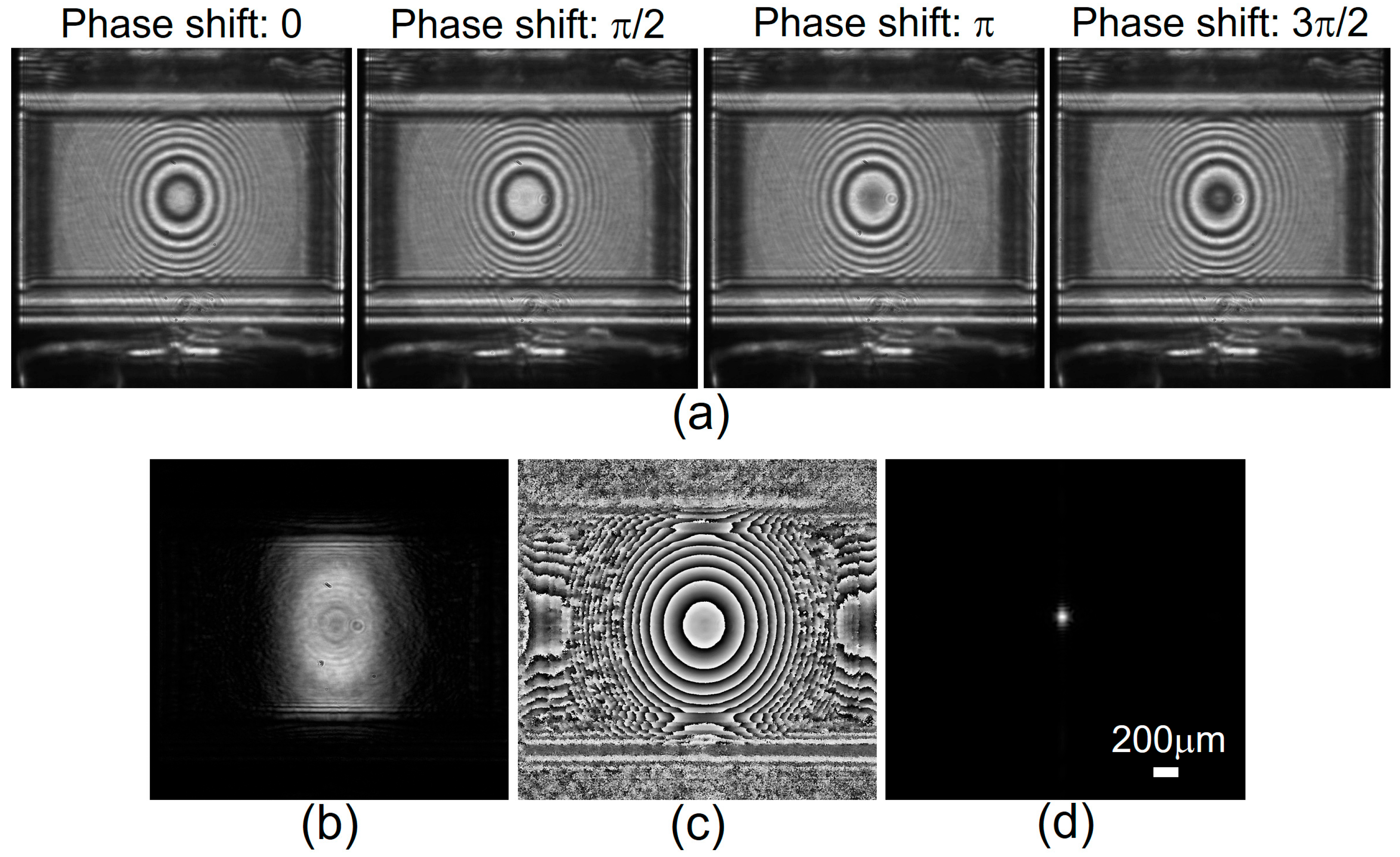 Photonics 12 00167 g003