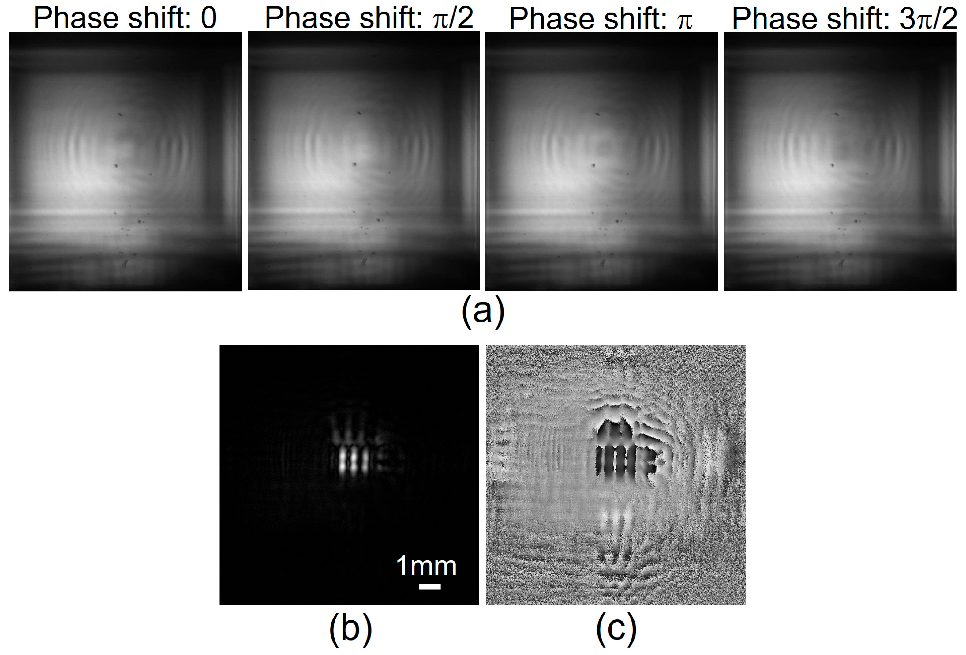 Photonics 12 00167 g004