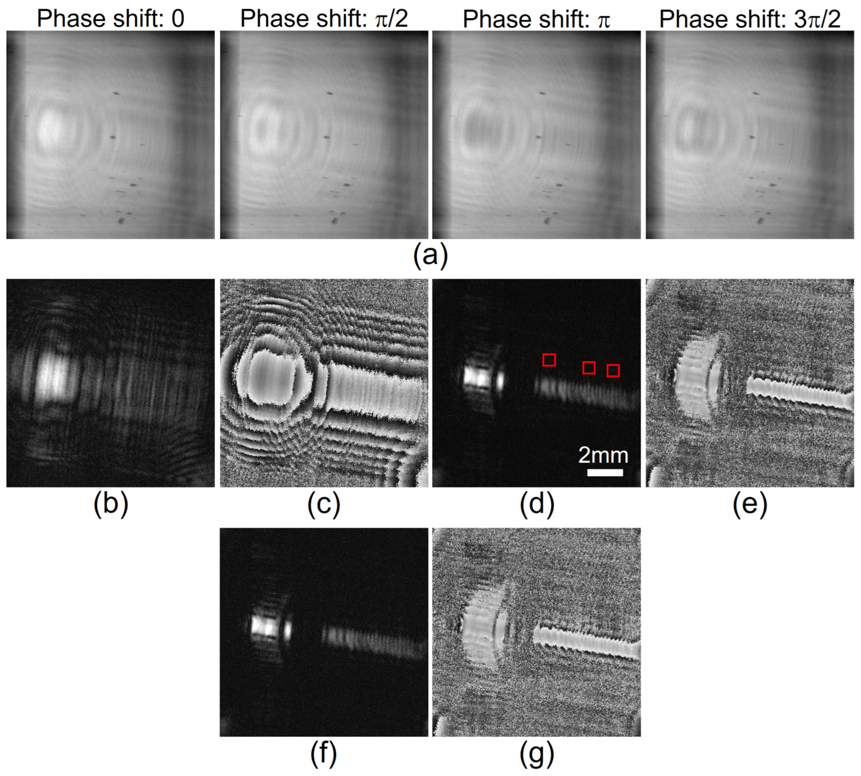 Photonics 12 00167 g005
