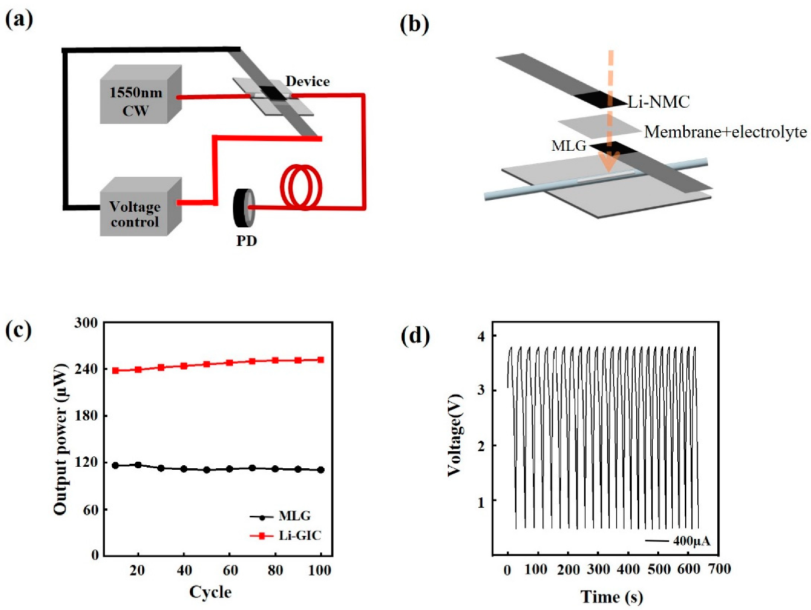 Photonics 12 00169 g003