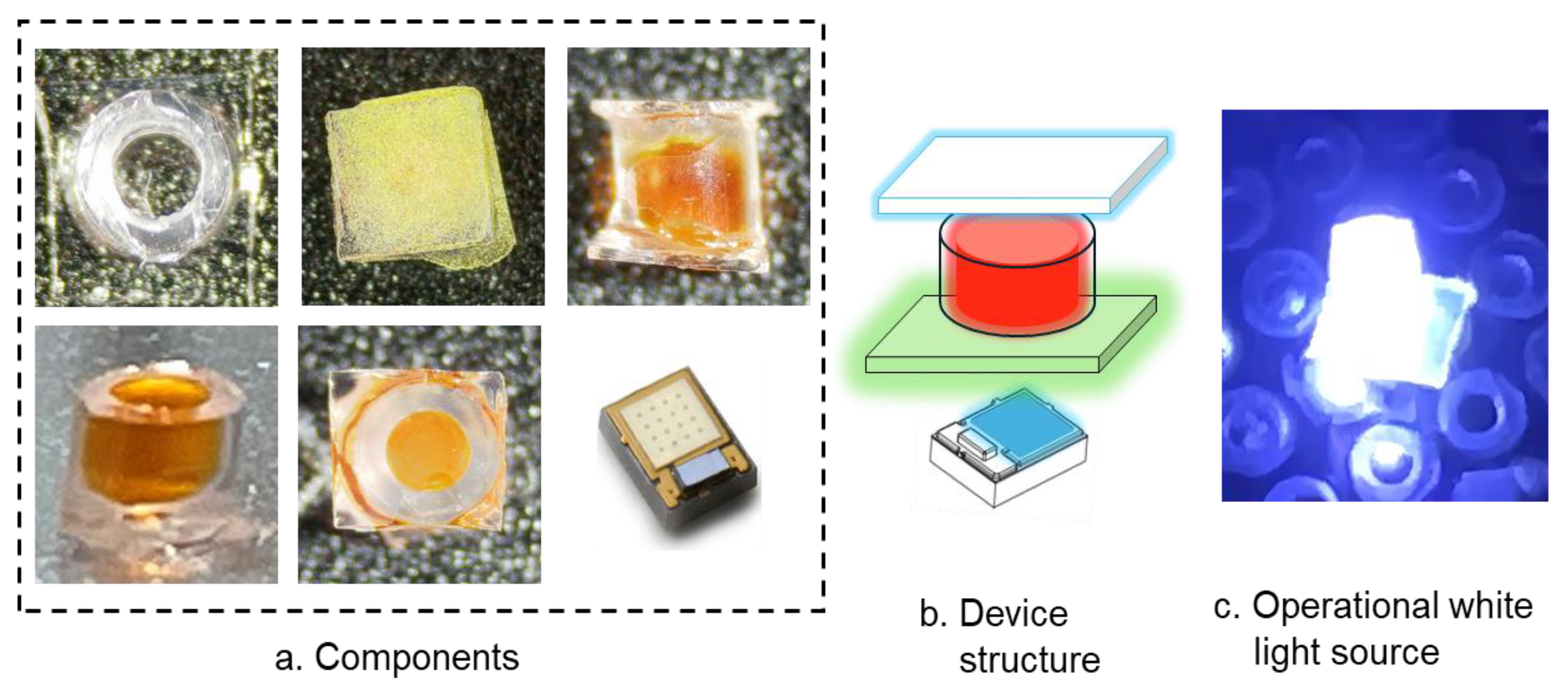 Photonics 12 00189 g001