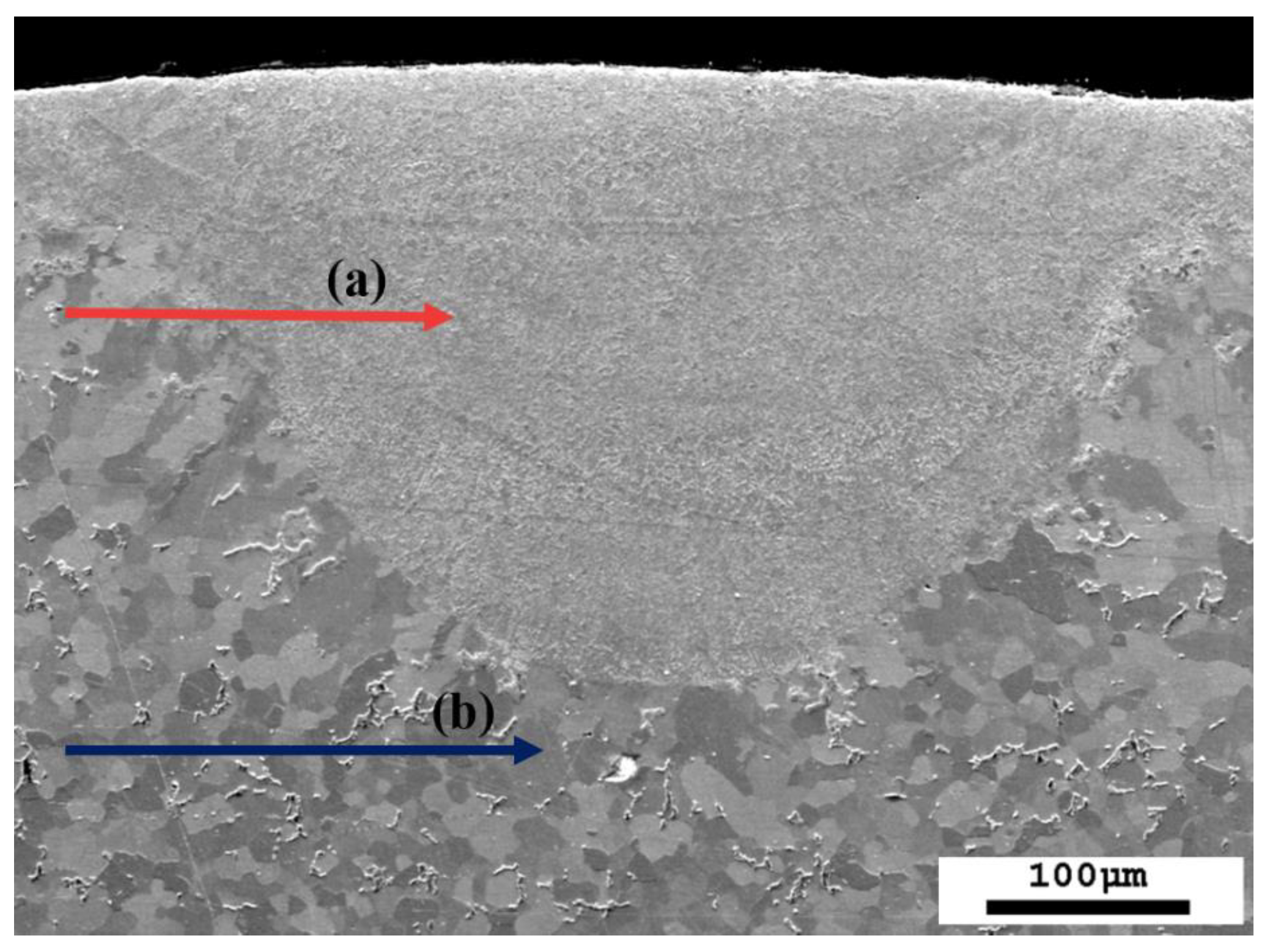 Photonics 12 00207 g007