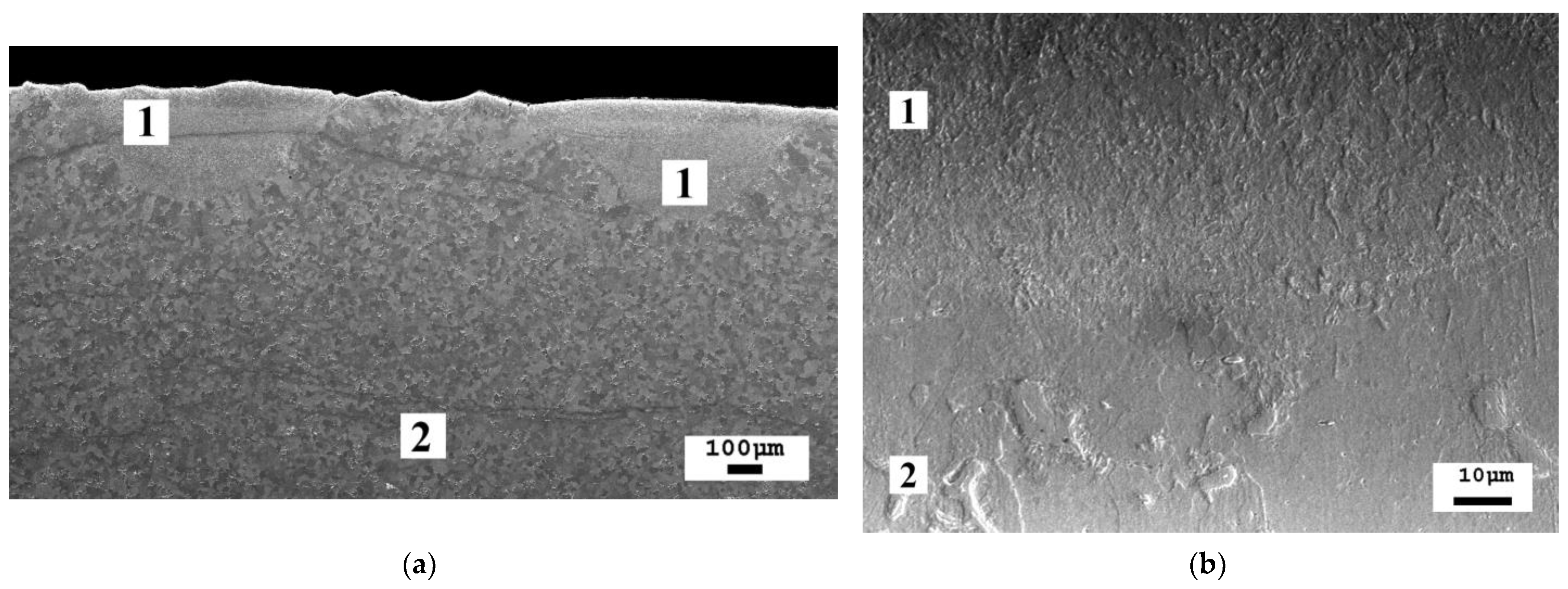 Photonics 12 00207 g008