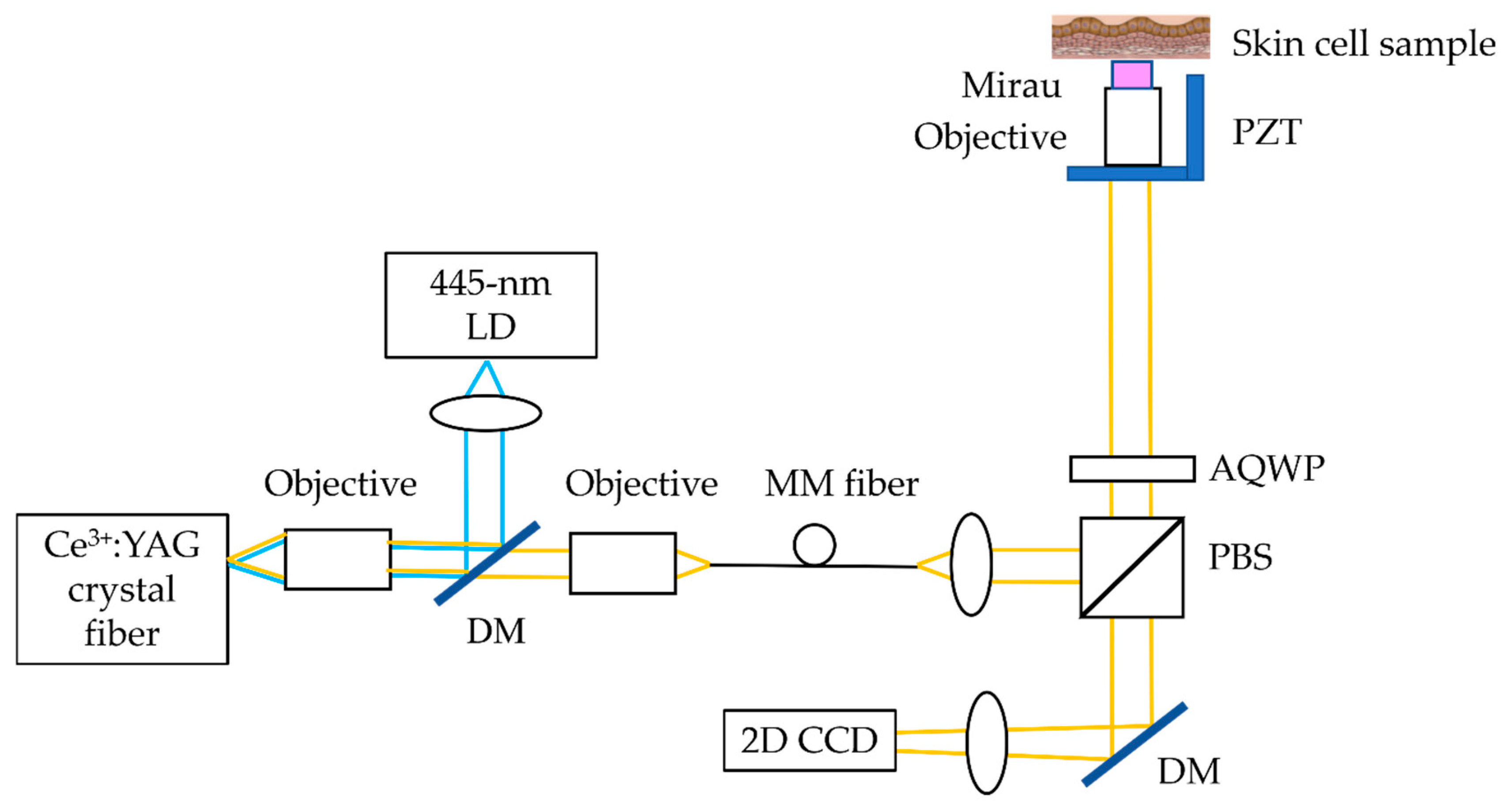 Photonics 12 00217 g001