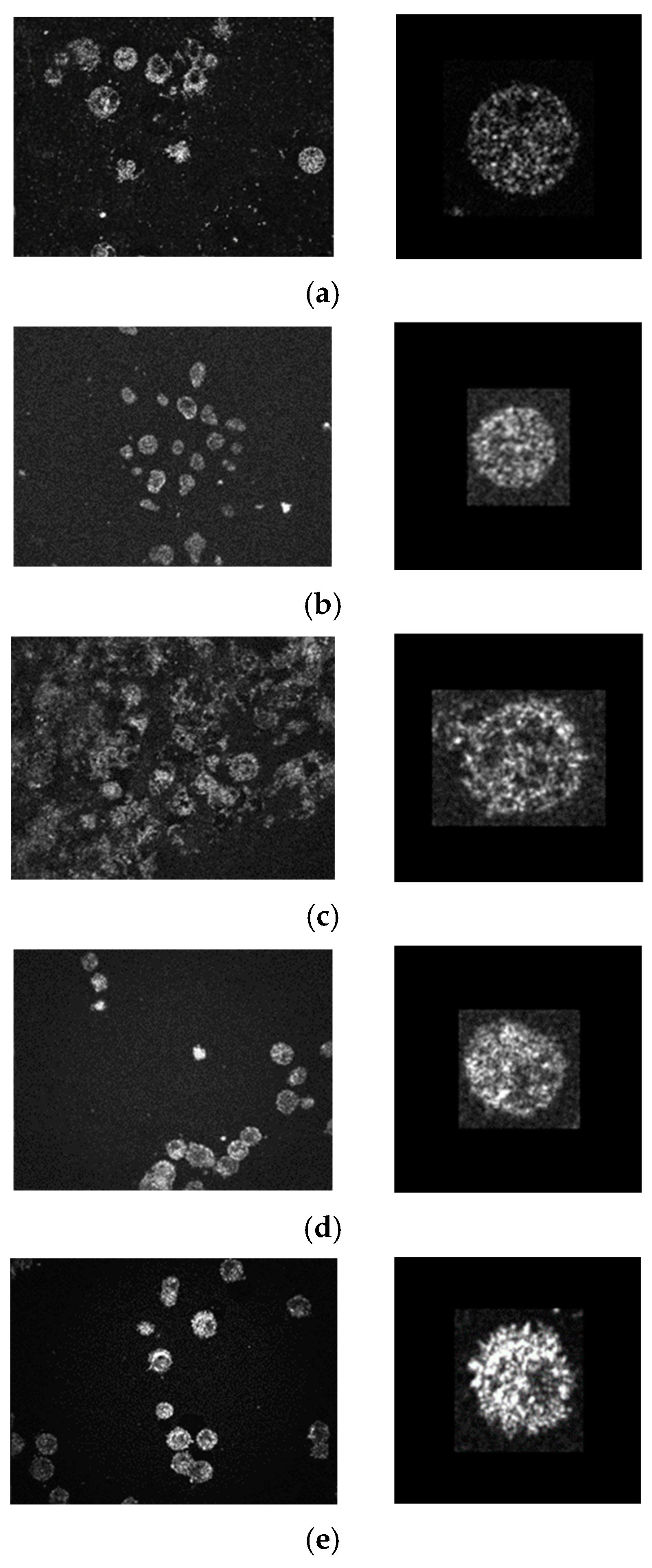 Photonics 12 00217 g002