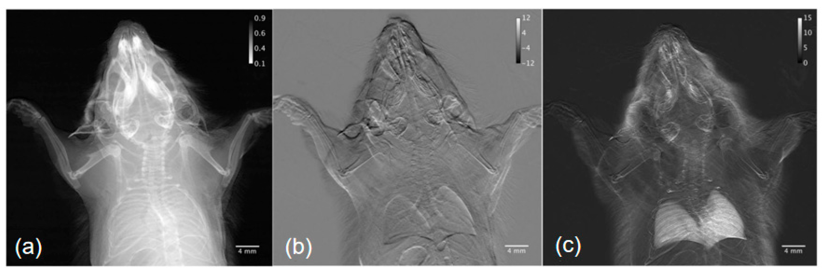 Photonics 12 00222 g004