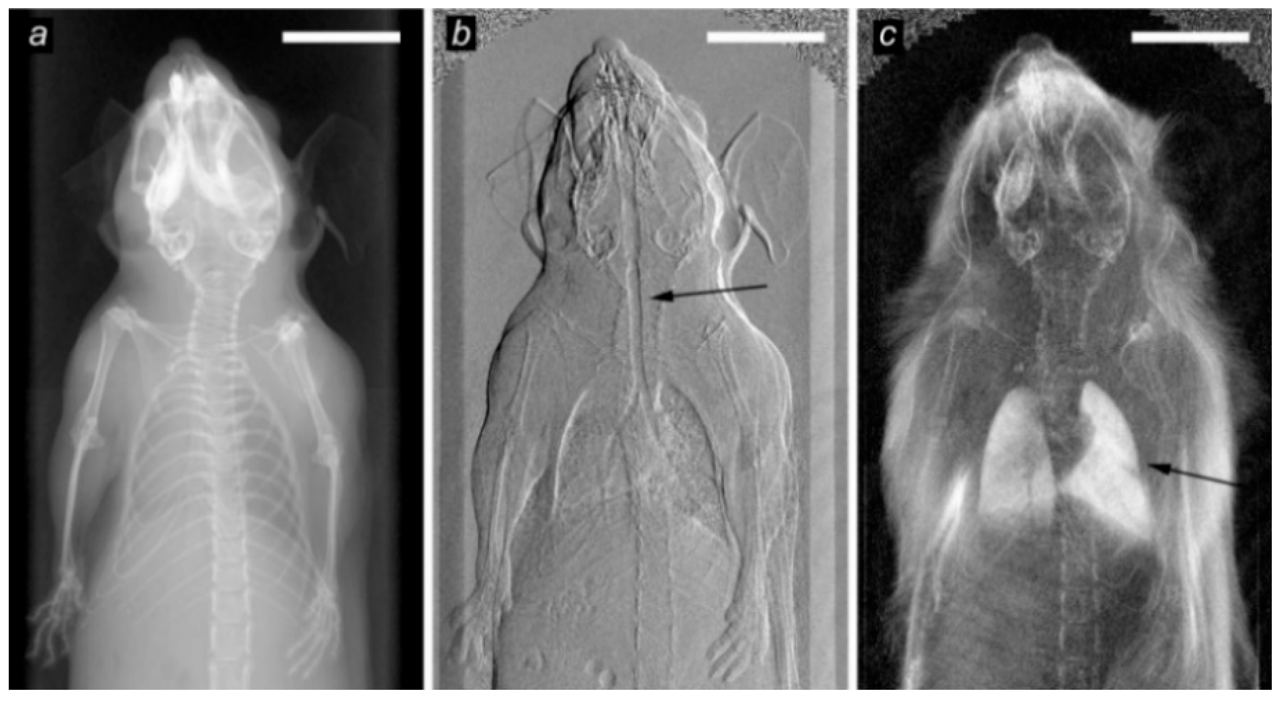 Photonics 12 00222 g017