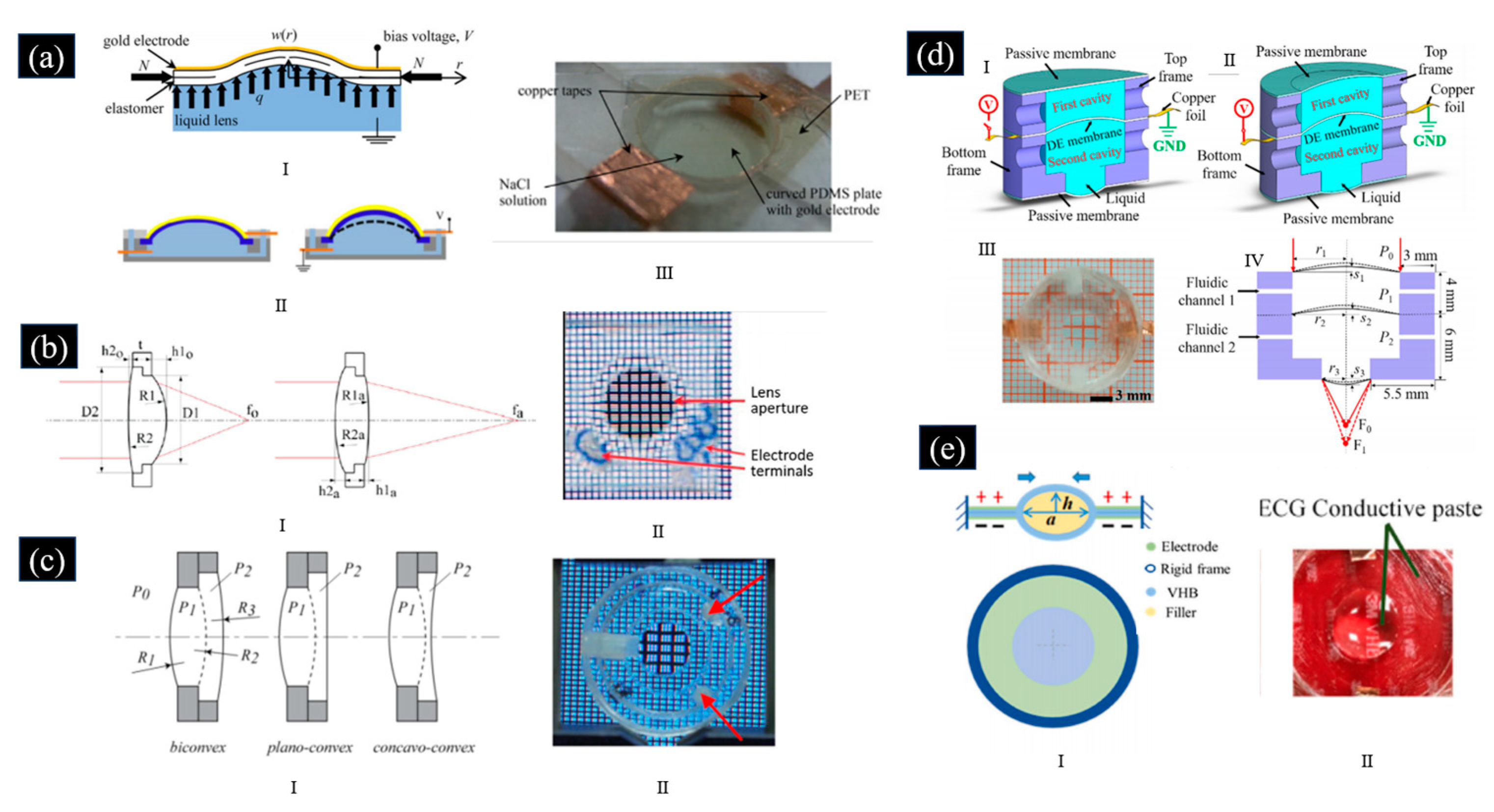 Photonics 12 00227 g003