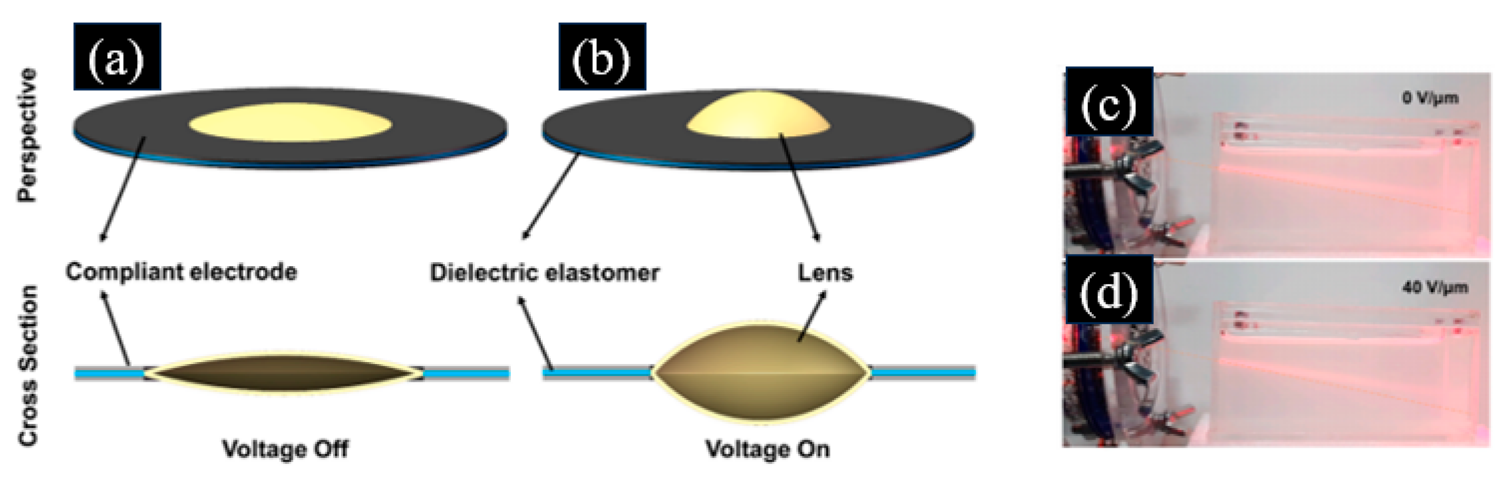 Photonics 12 00227 g008