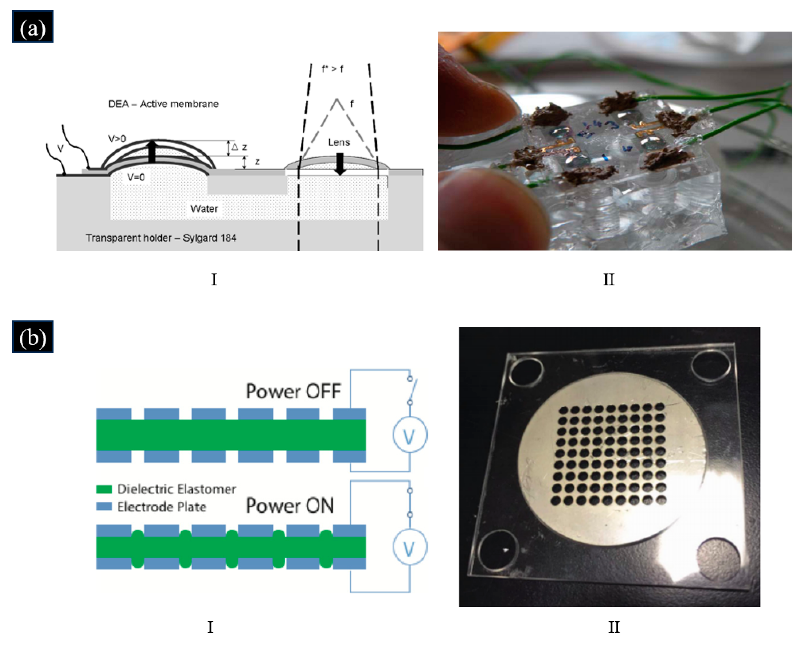 Photonics 12 00227 g016