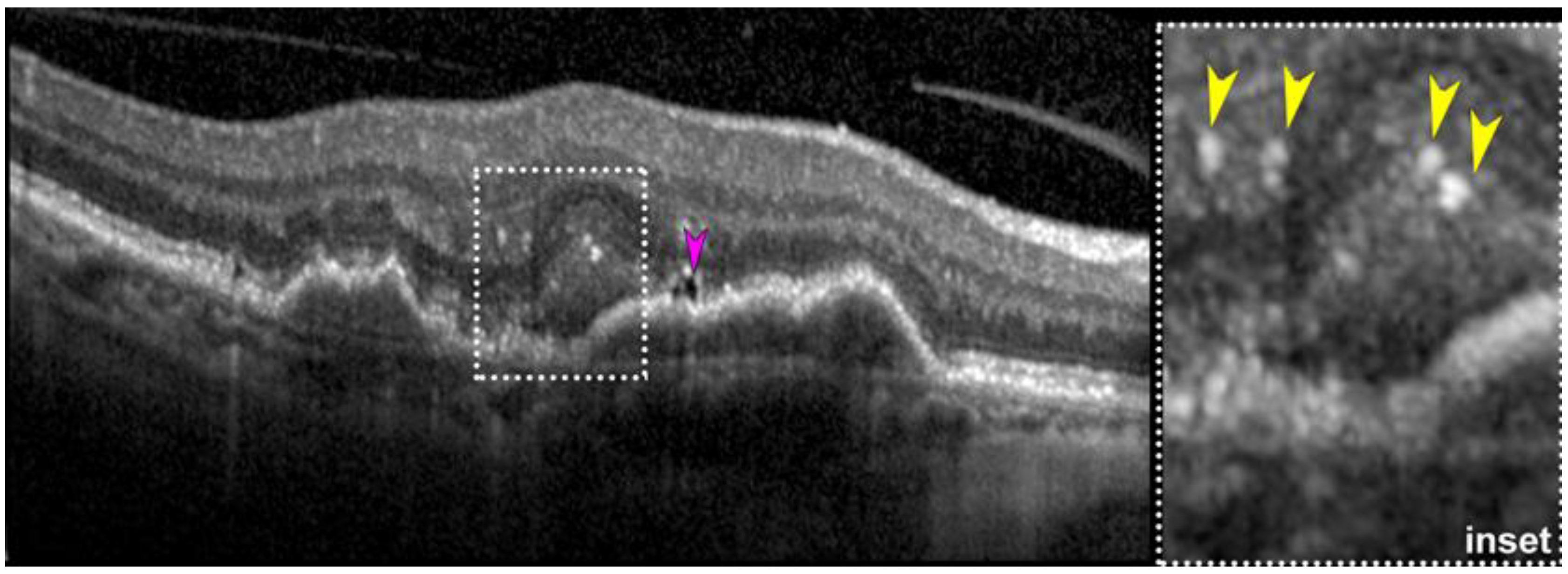 Photonics 12 00237 g007