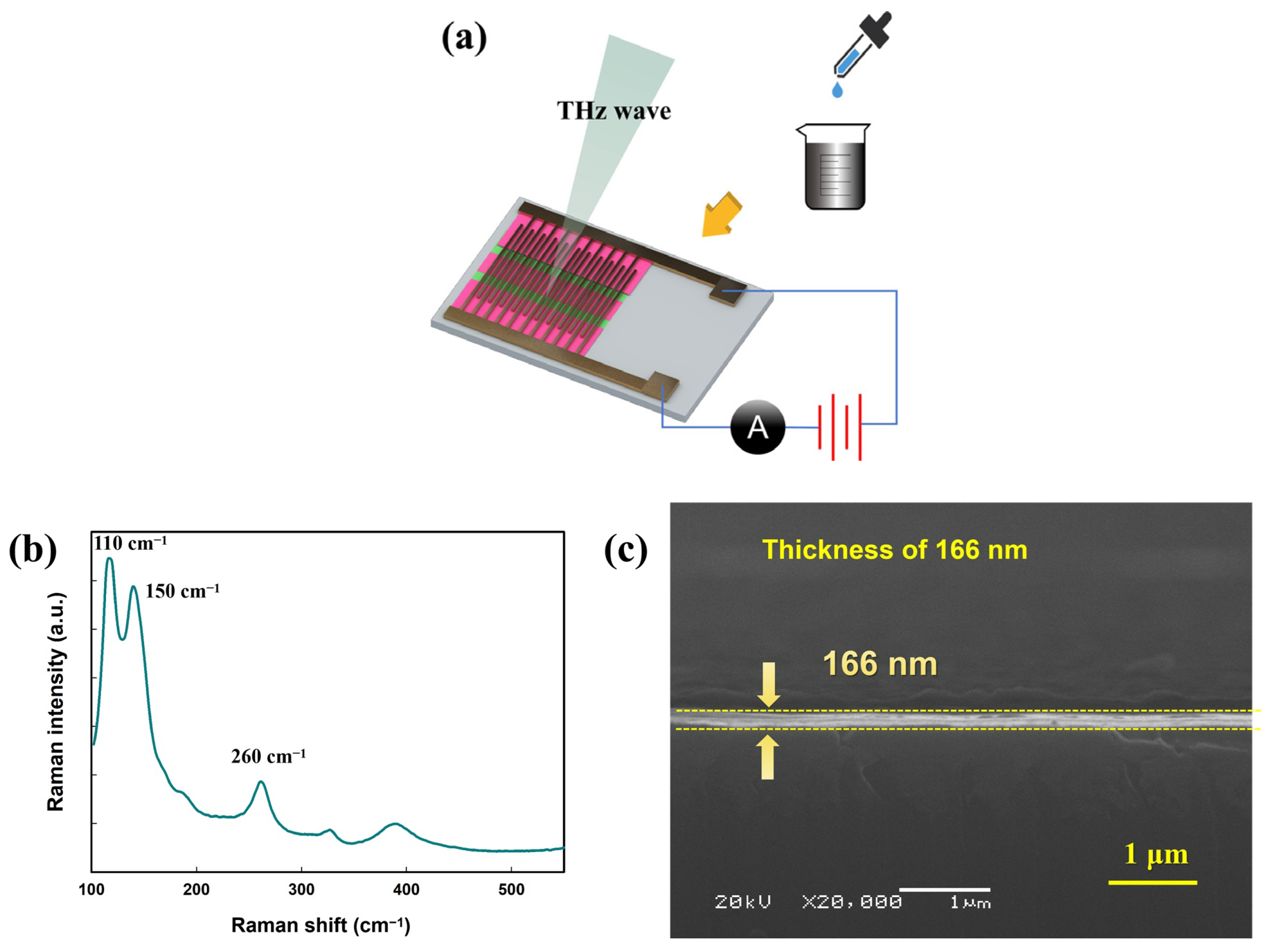 Photonics 12 00255 g001