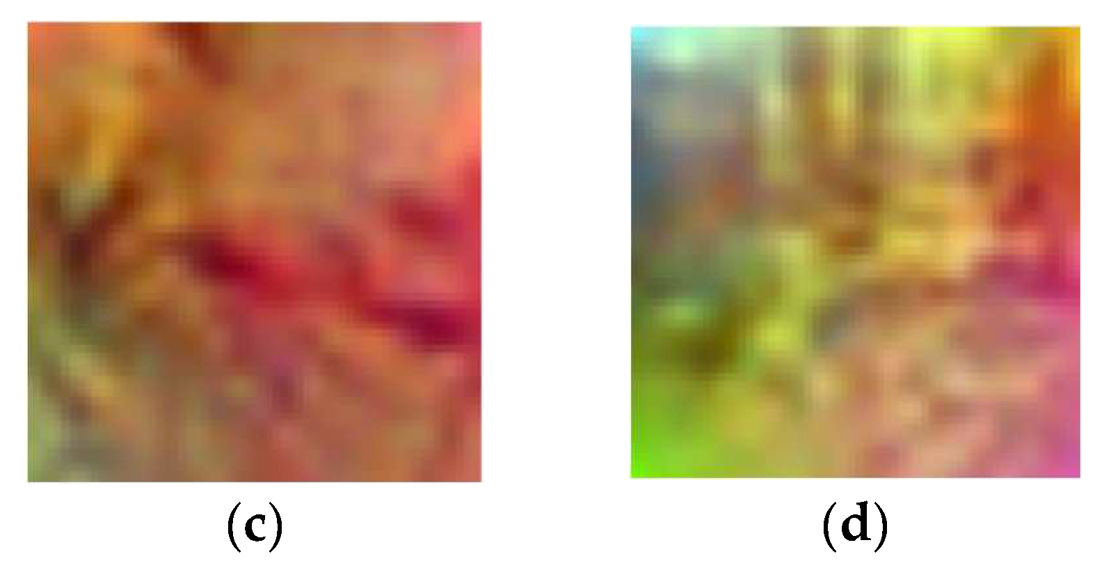 Photonics 12 00263 g013b