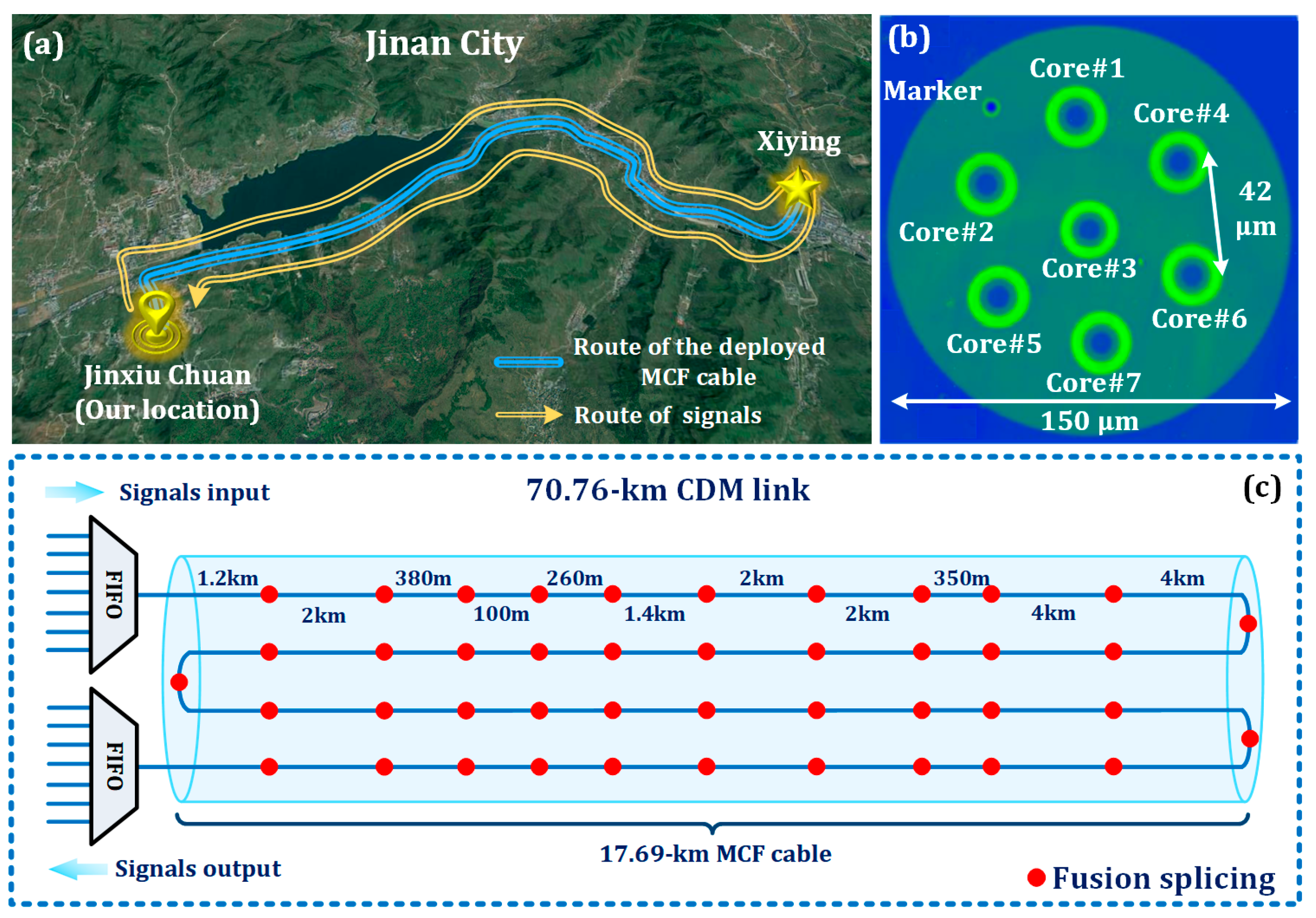 Photonics 12 00269 g001