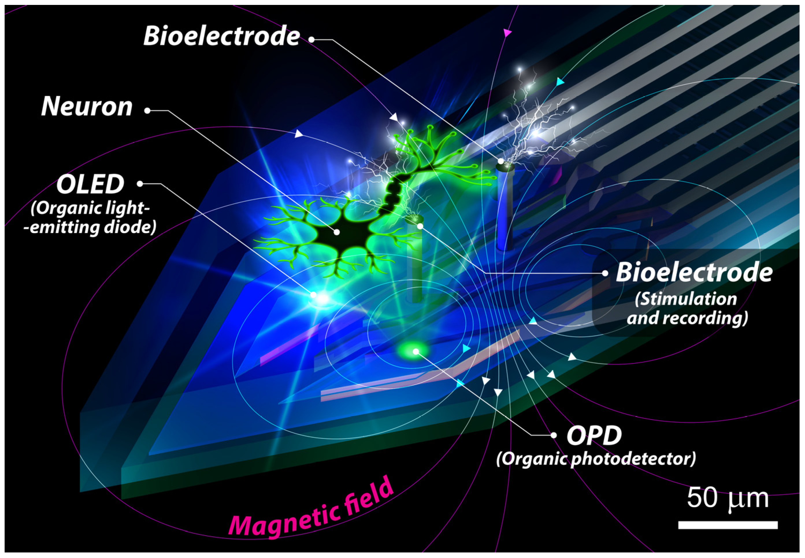 Photonics 12 00281 g002