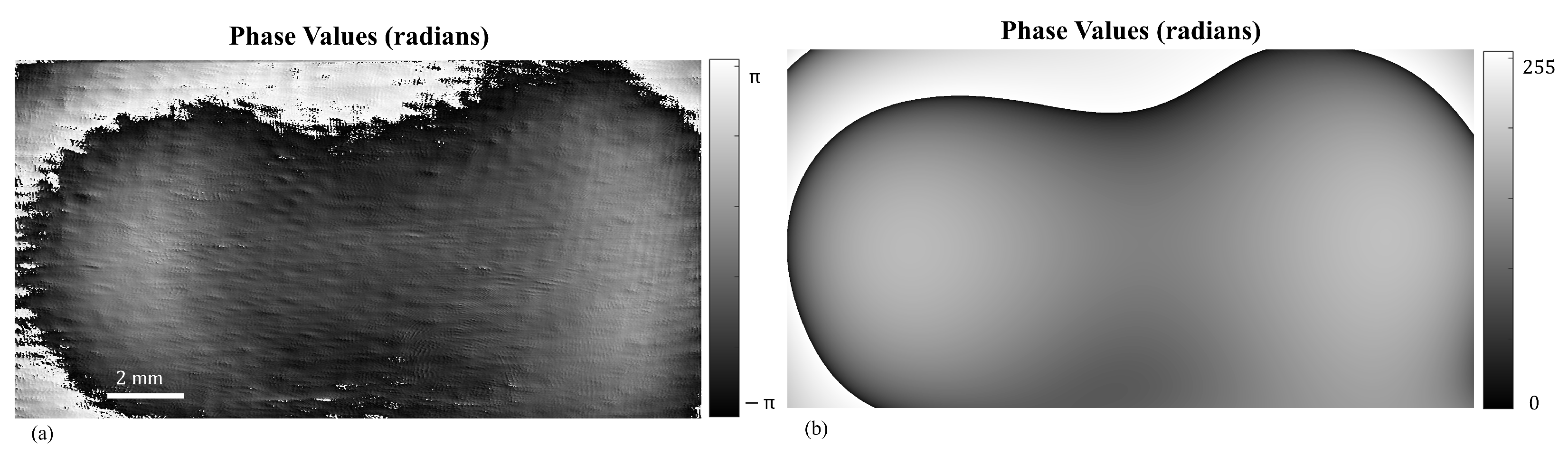 Photonics 12 00285 g008