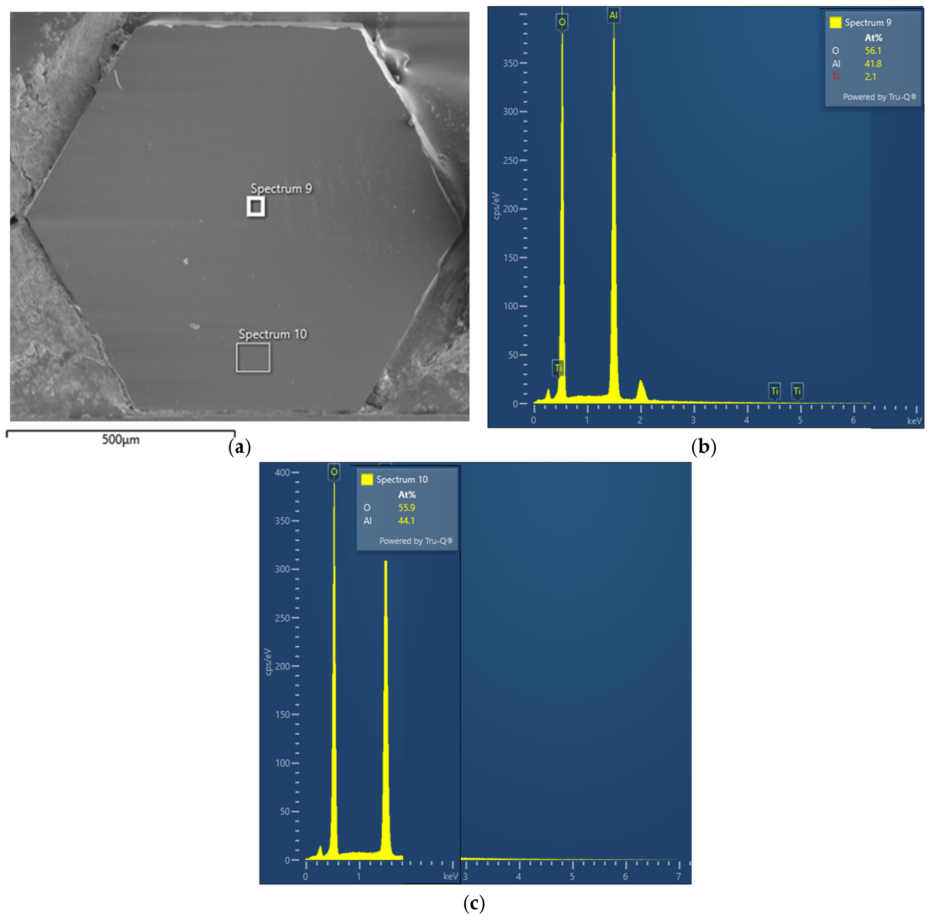 Photonics 12 00299 g005