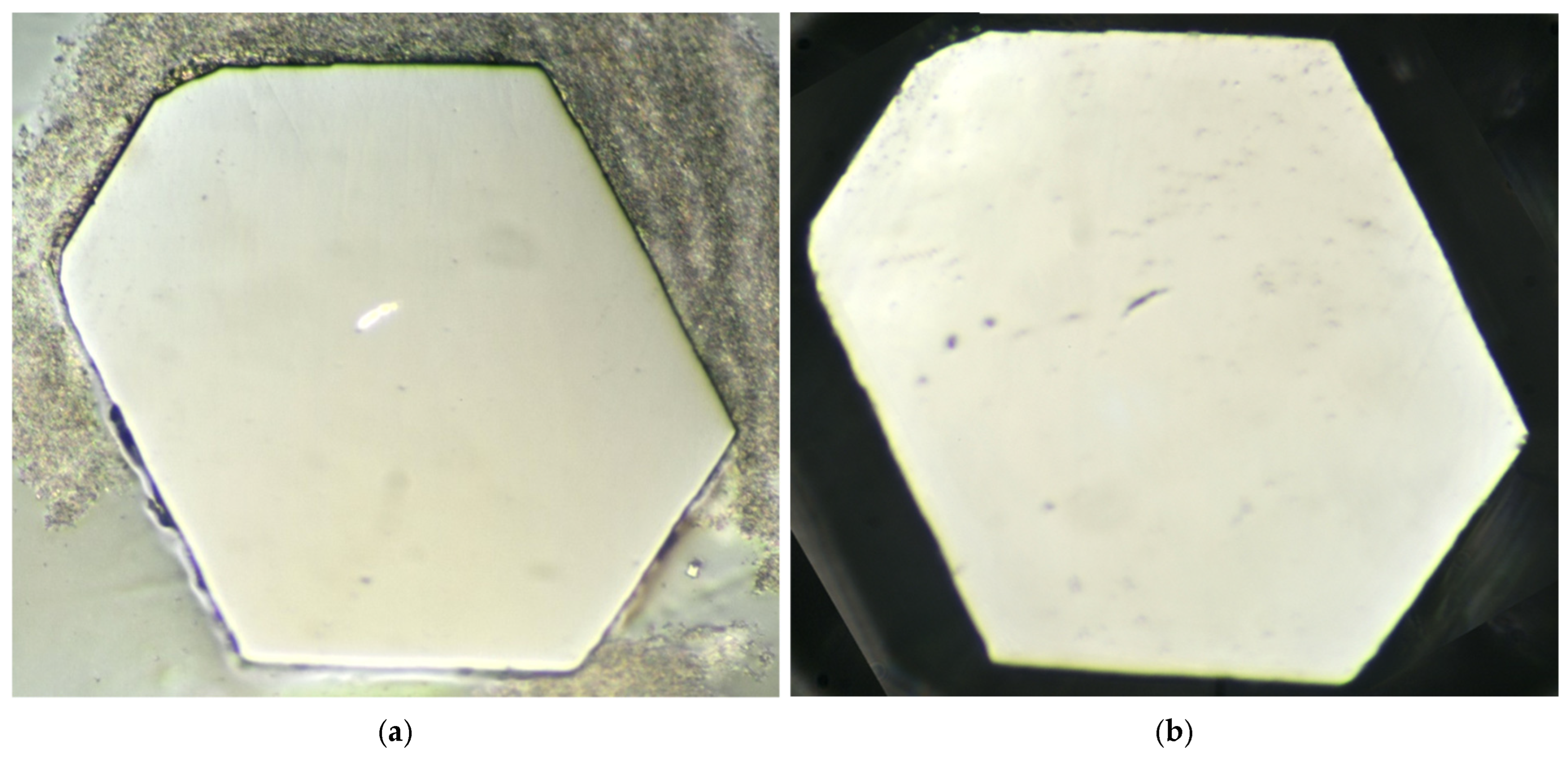 Photonics 12 00299 g006