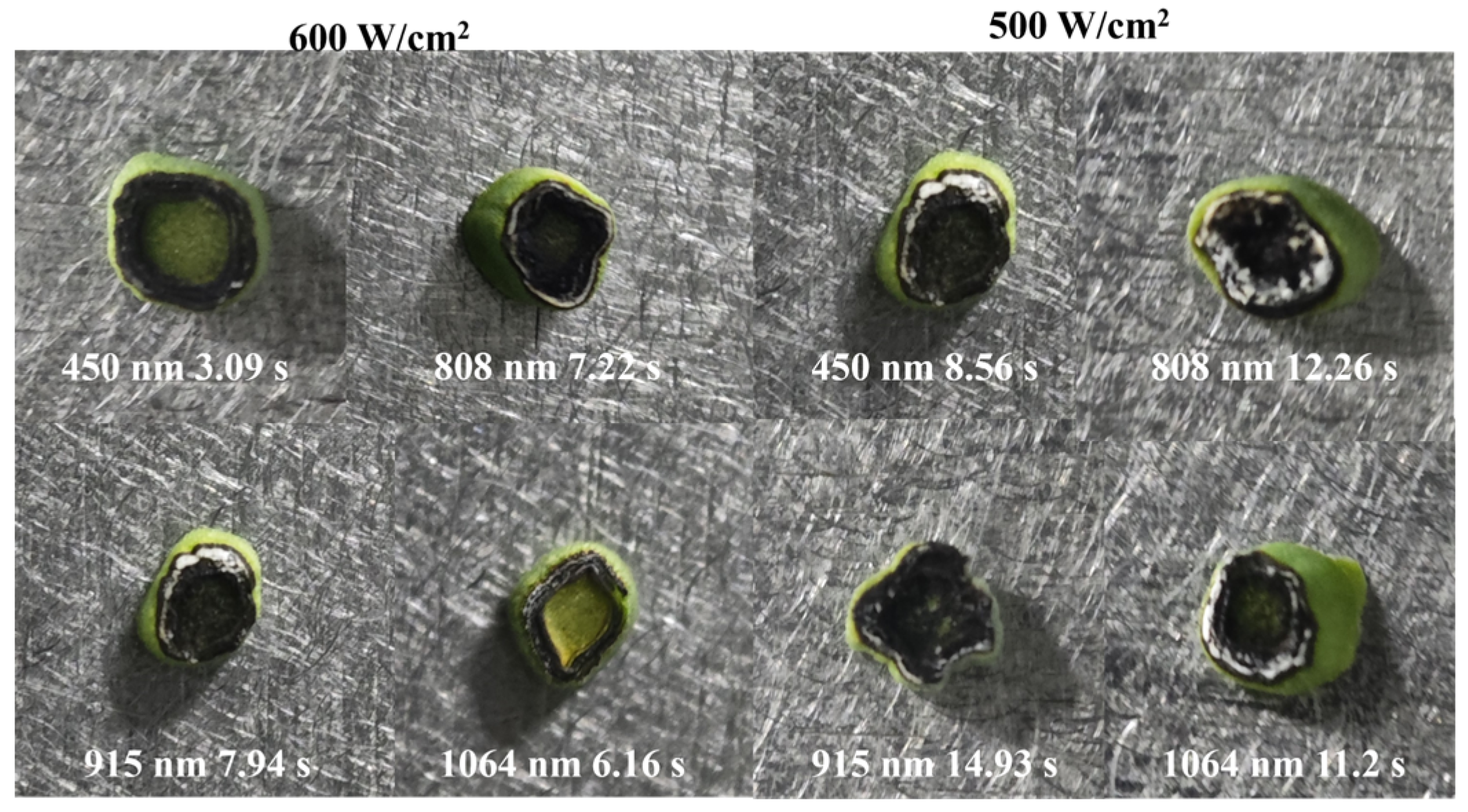 Photonics 12 00300 g009