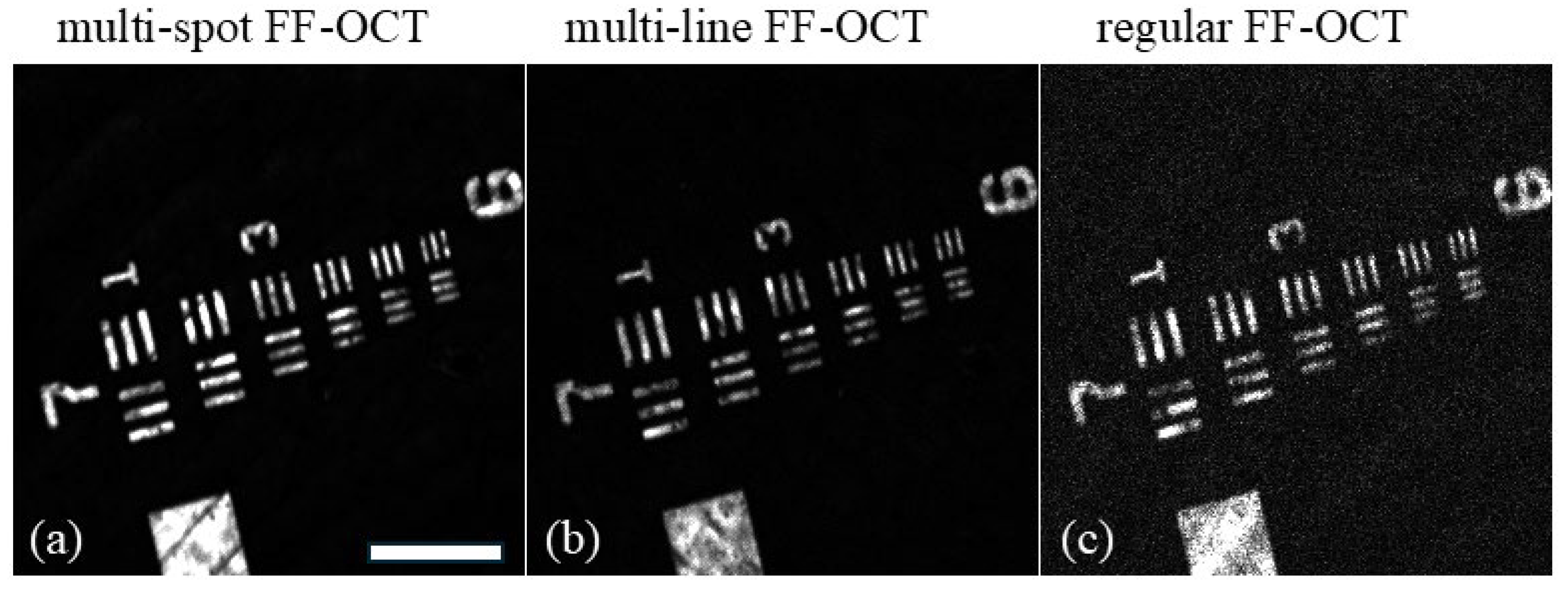 Photonics 12 00304 g003