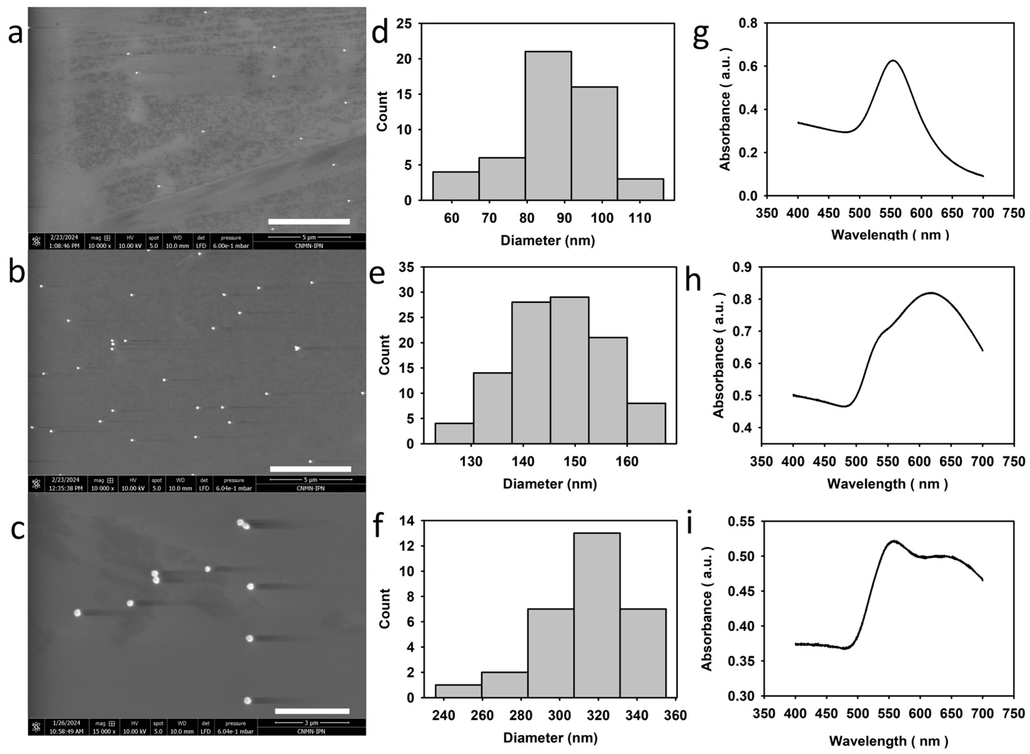 Photonics 12 00314 g002