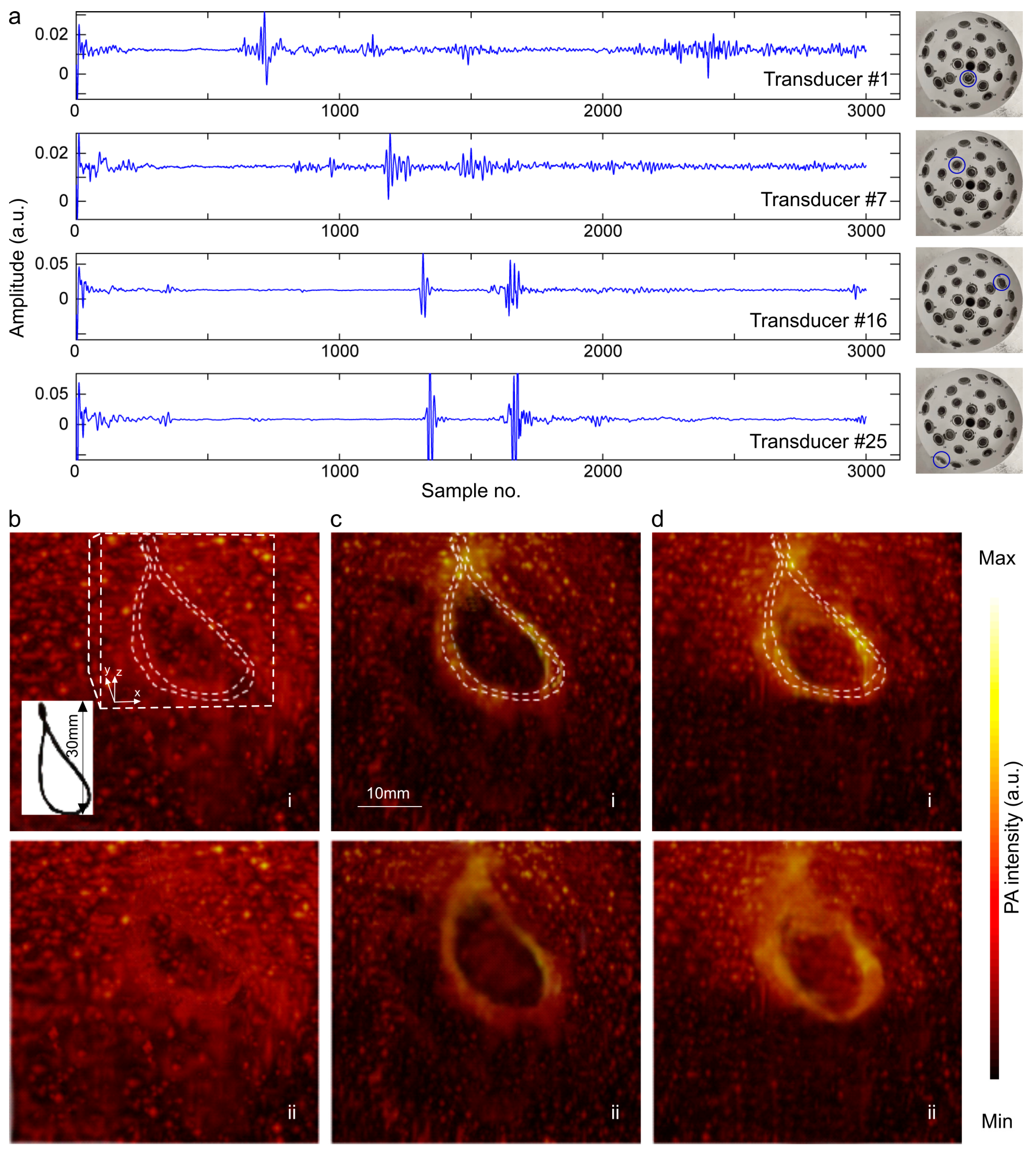 Photonics 12 00385 g003