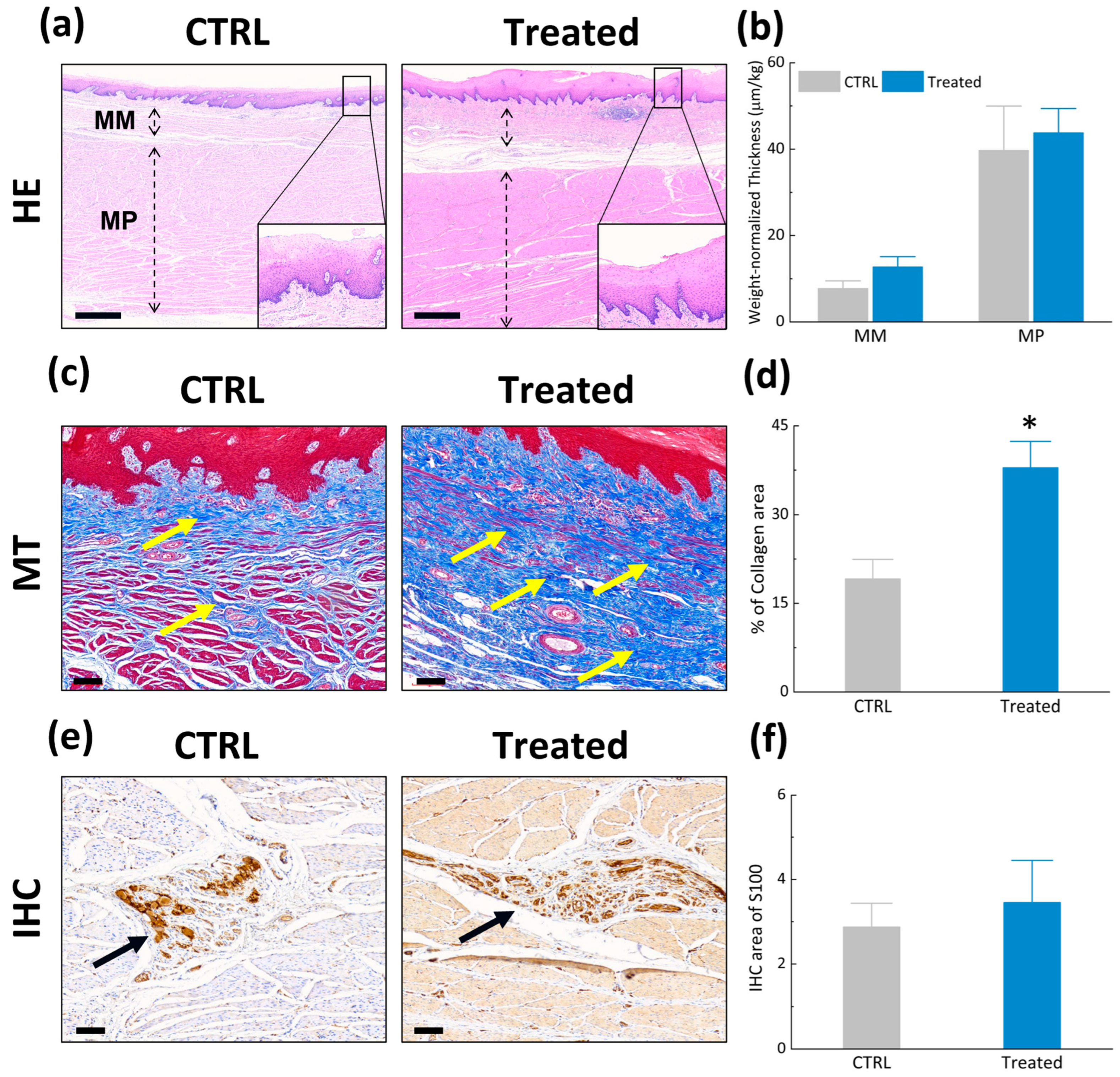 Photonics 12 00421 g002