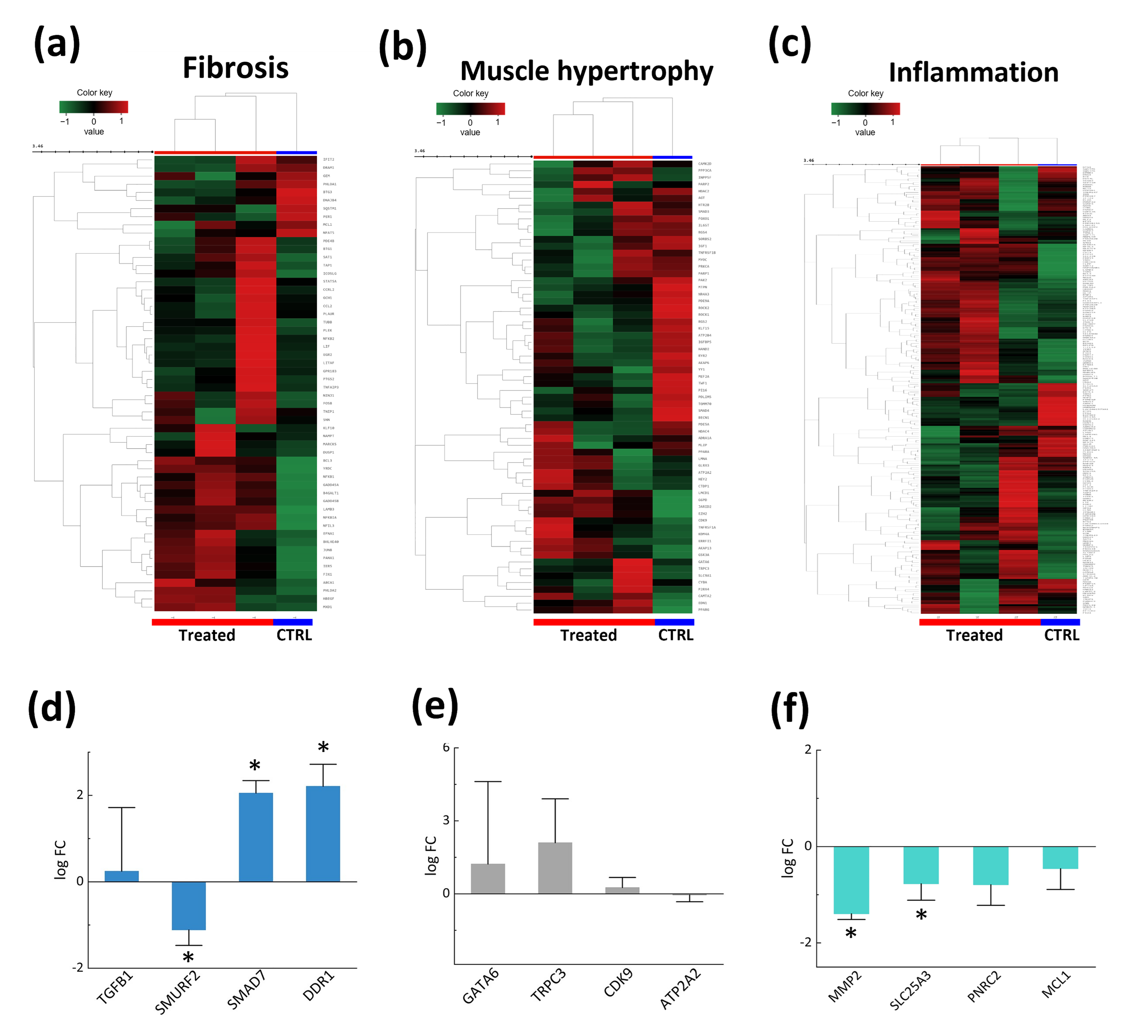 Photonics 12 00421 g004