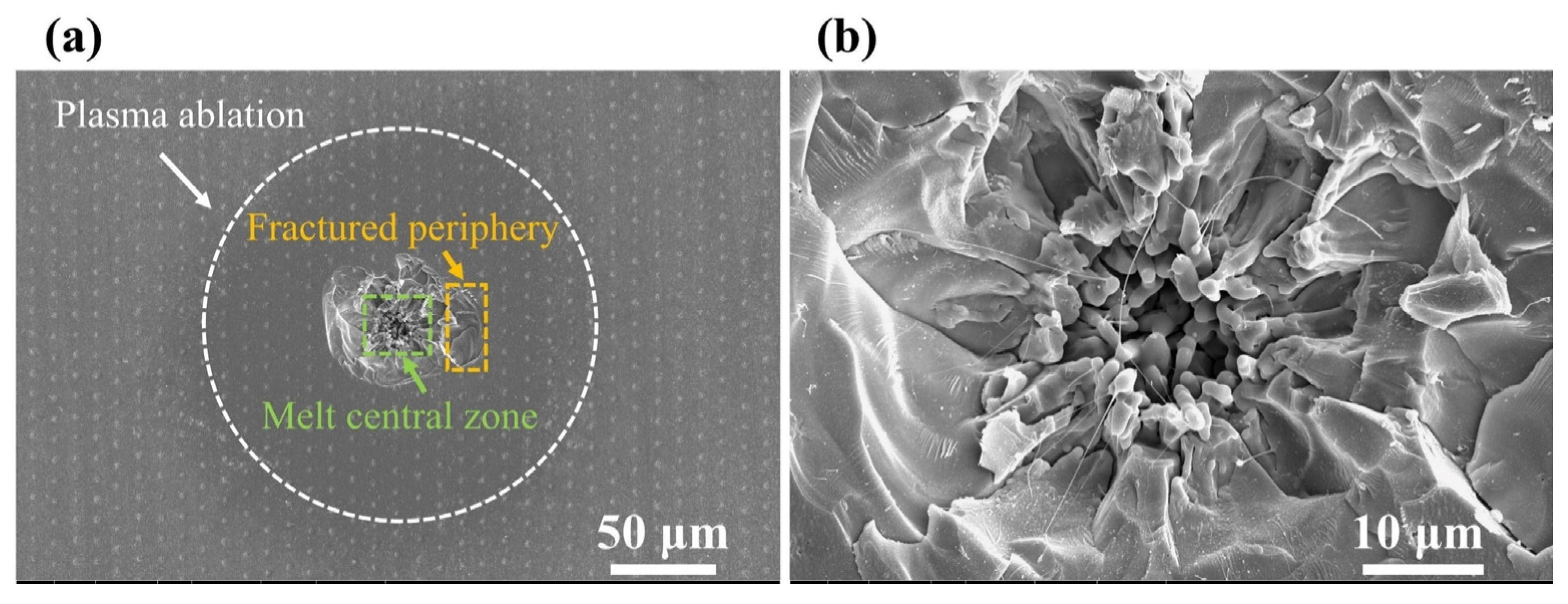 Photonics 12 00432 g009
