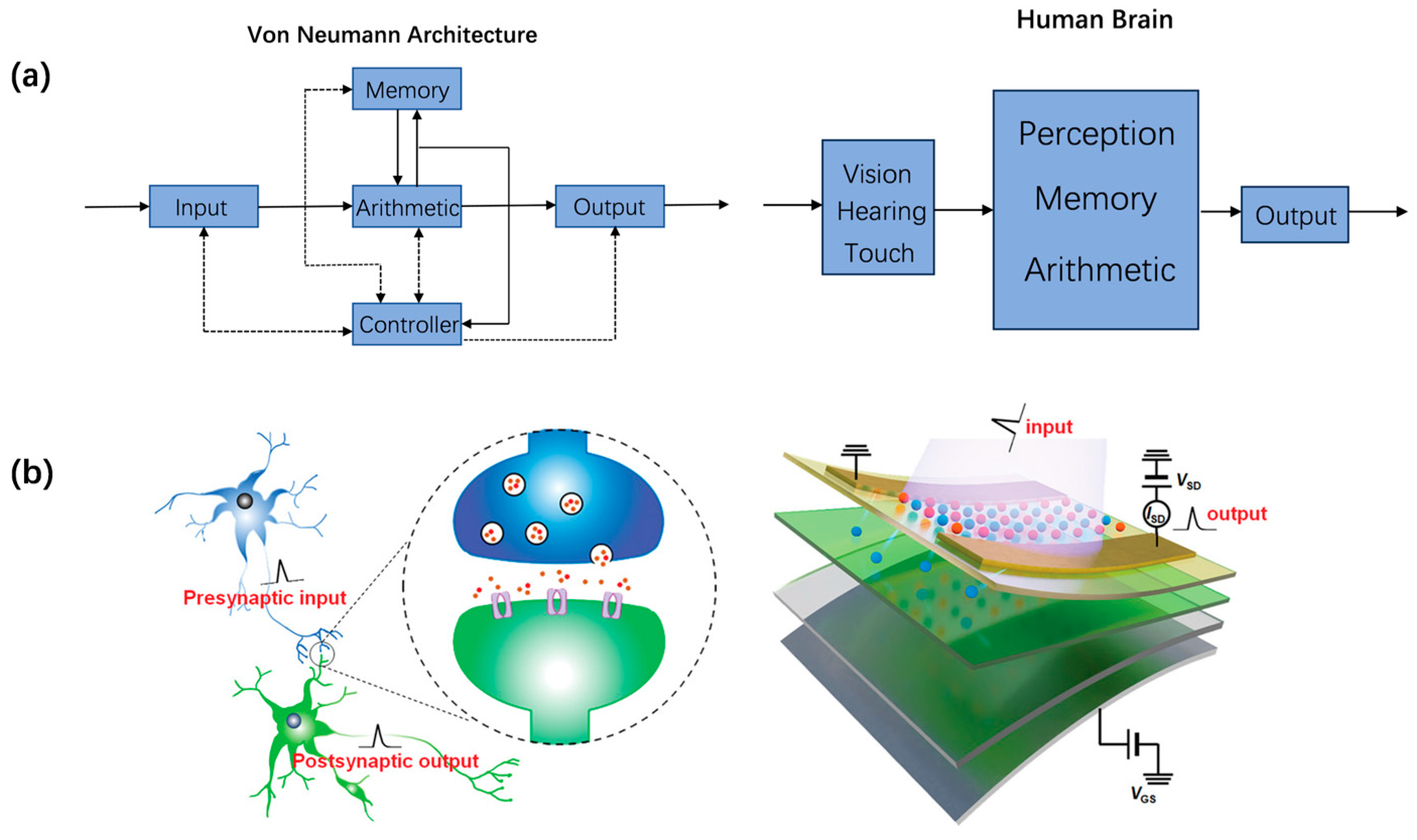 Plastic Tree廃盤デモ『ACID VISION NEUROSIS』 Recent progress in neuromorphic and memory devices based on