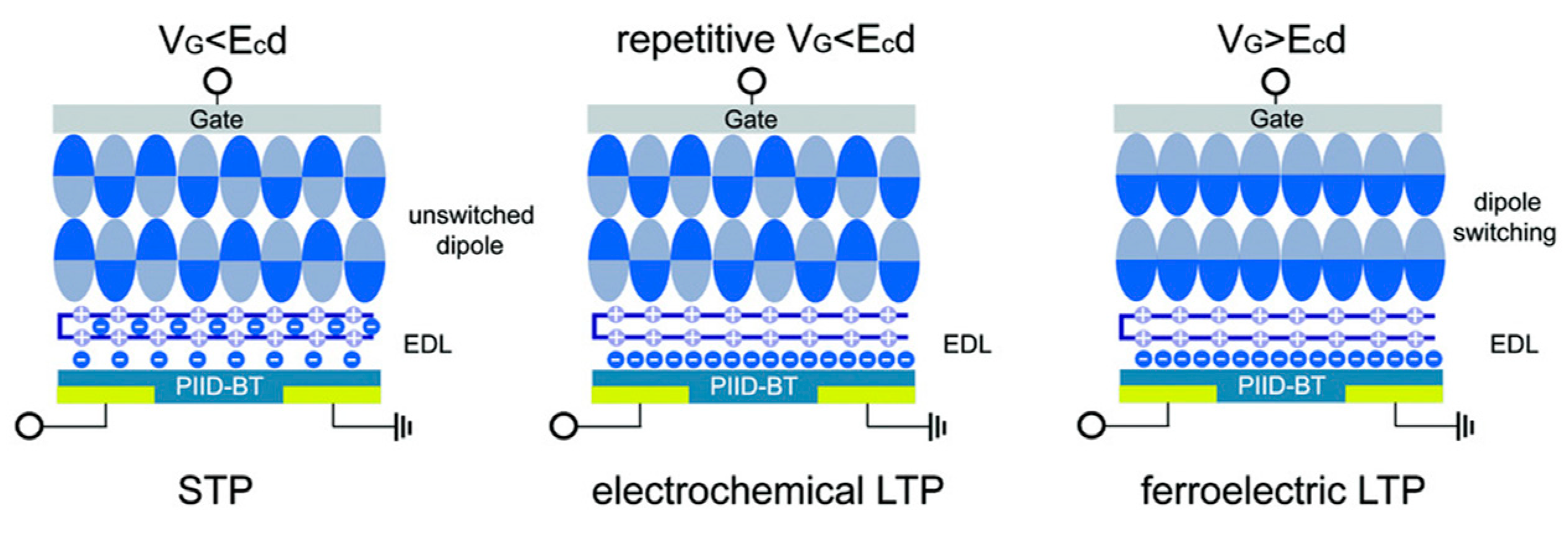 Photonics 12 00435 g005