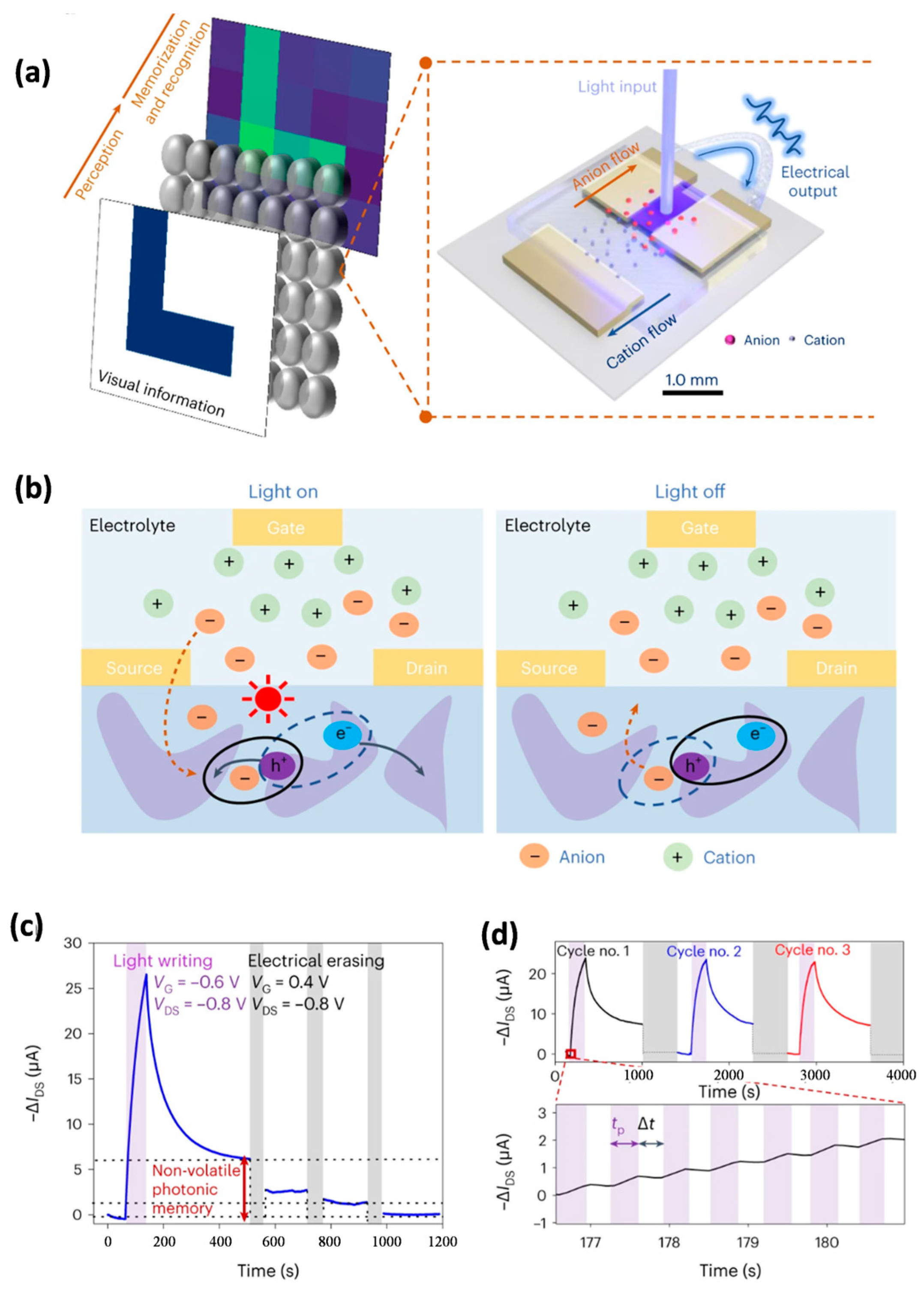 Photonics 12 00435 g009