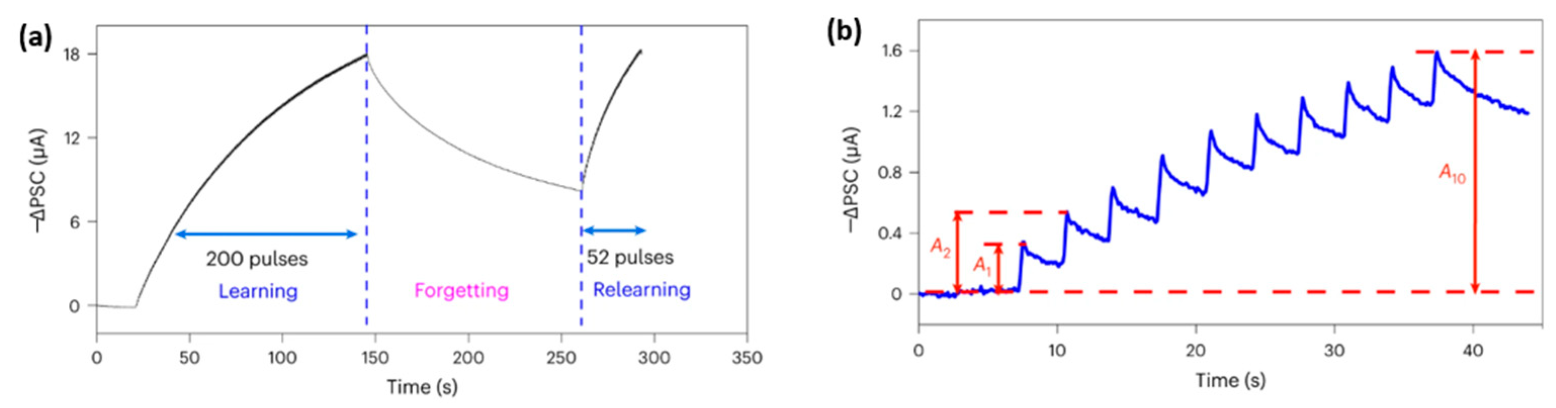Photonics 12 00435 g011