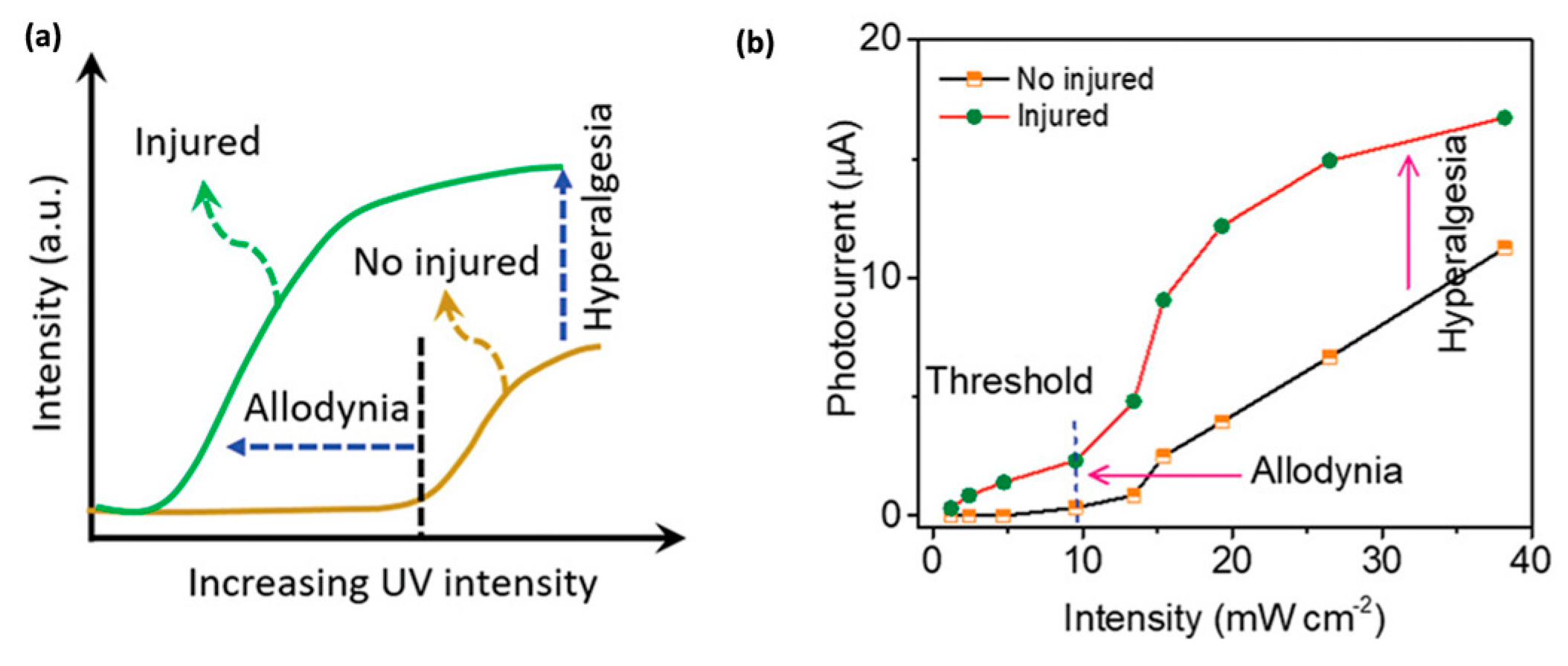 Photonics 12 00435 g014