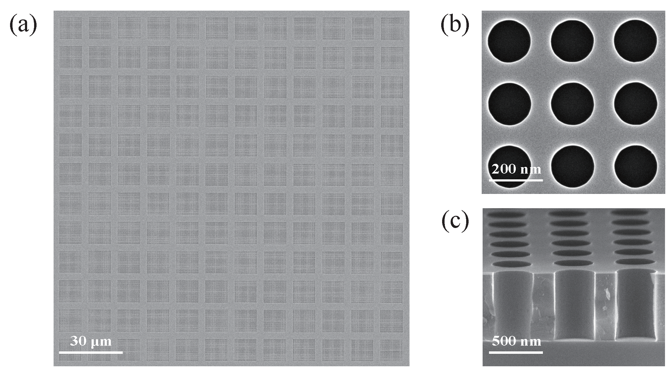 Photonics 12 00449 g003