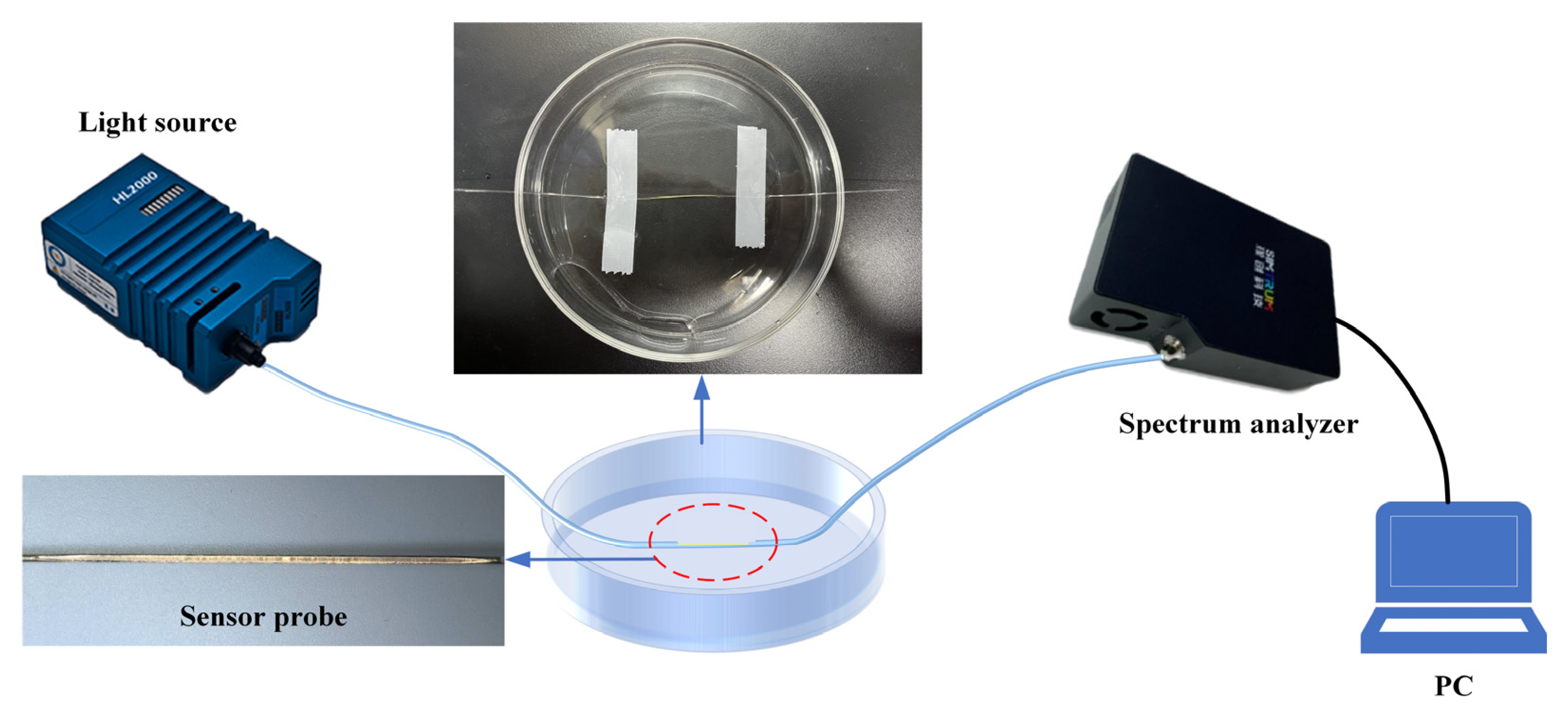 Photonics 12 00461 g005