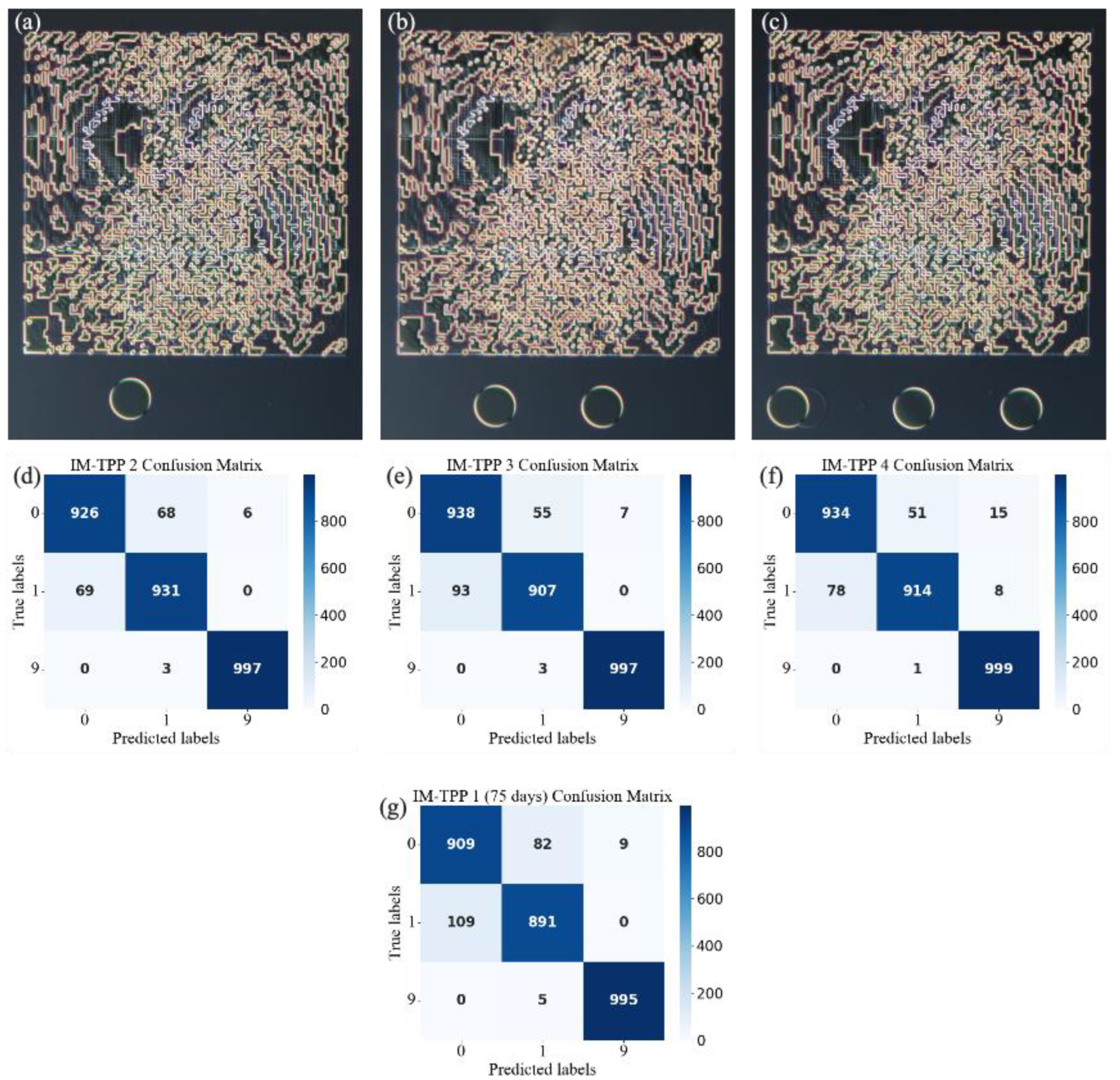 Photonics 12 00473 g006