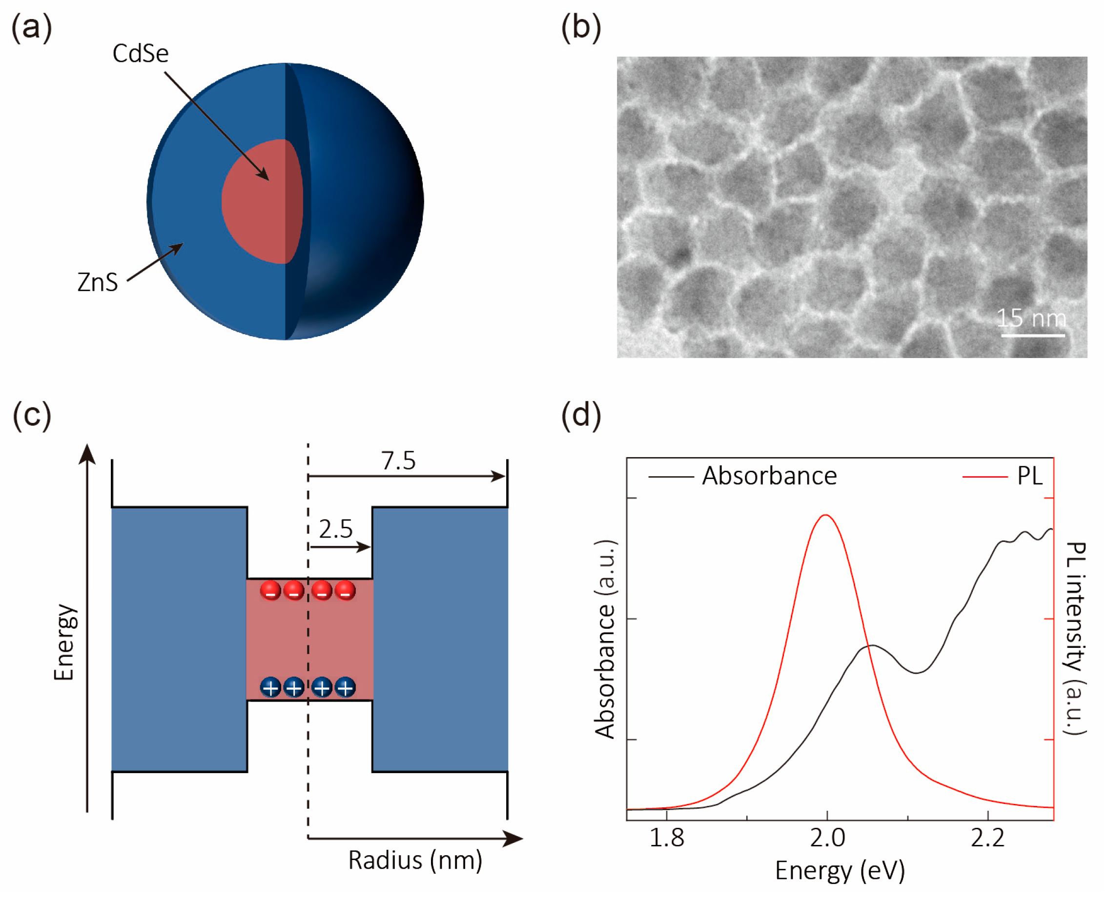 Photonics 12 00477 g001