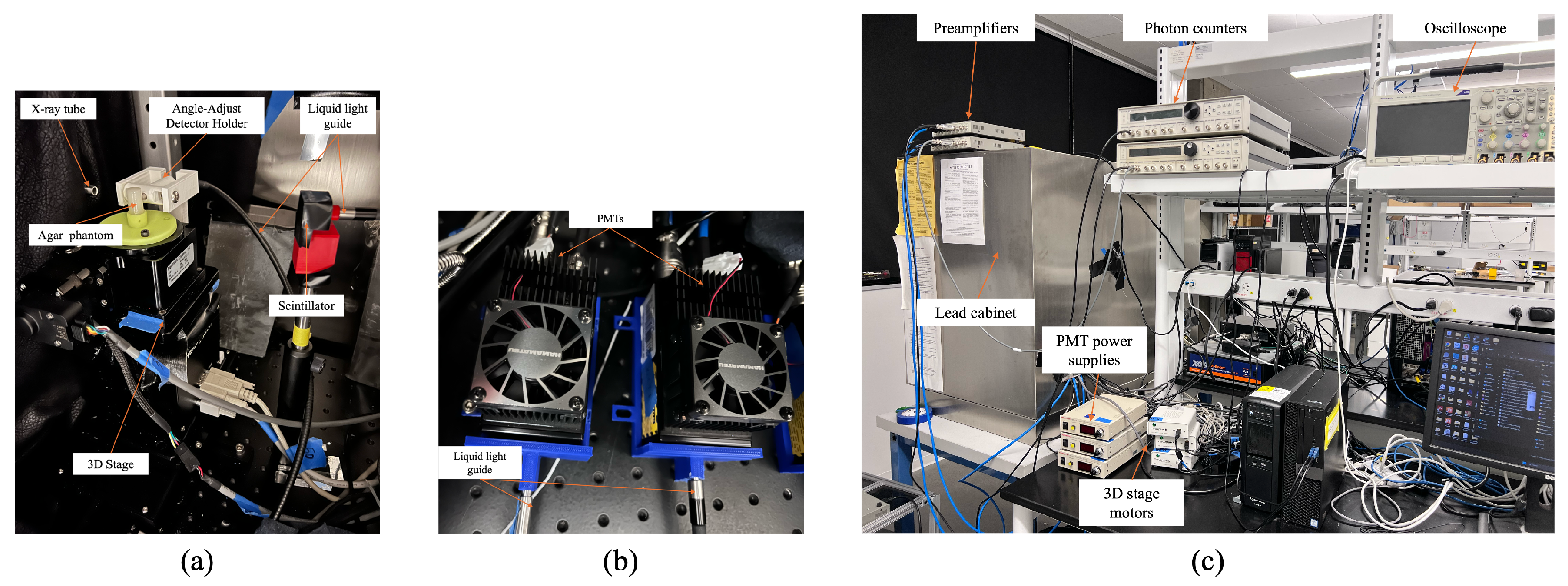 Photonics 12 00483 g002