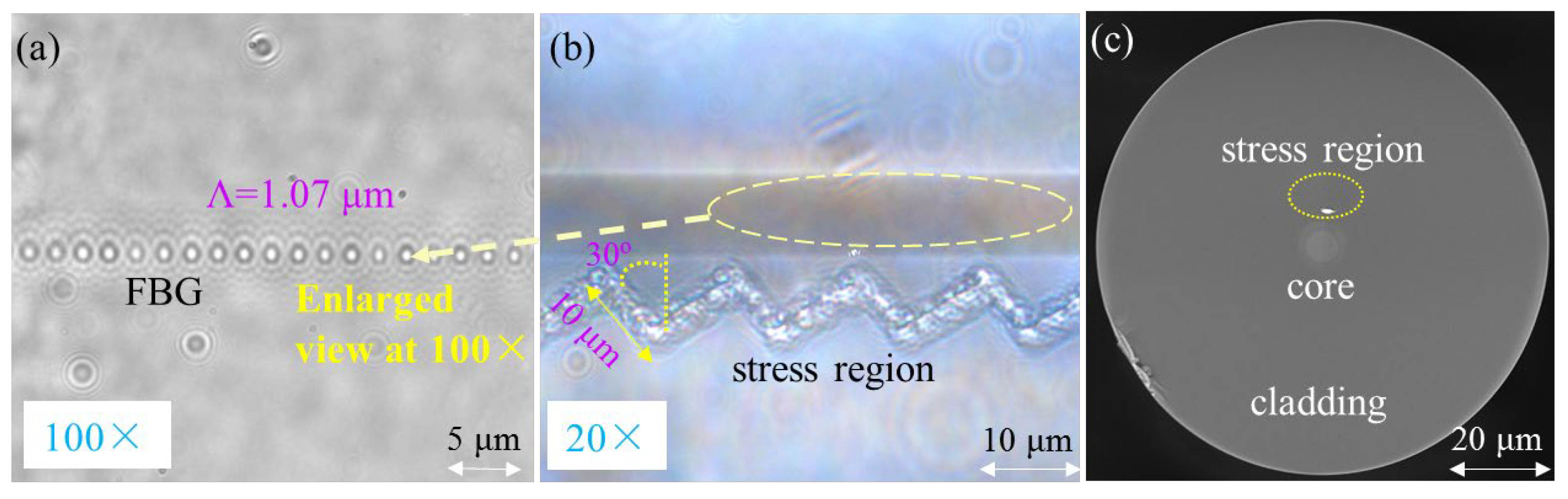 Photonics 12 00502 g003