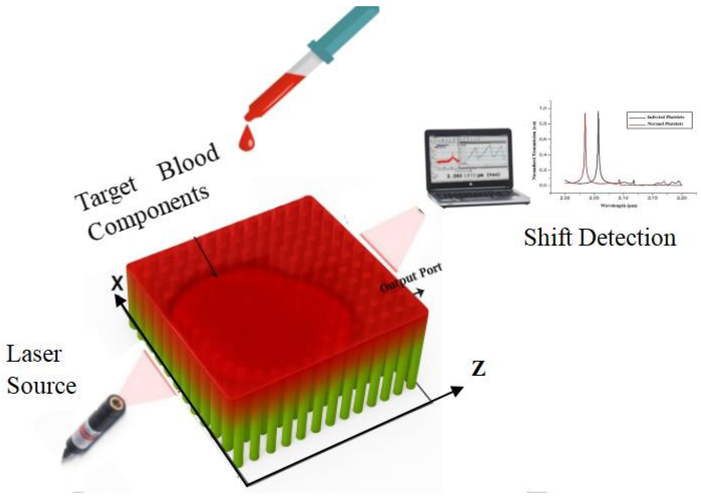 Photonics 12 00514 g005