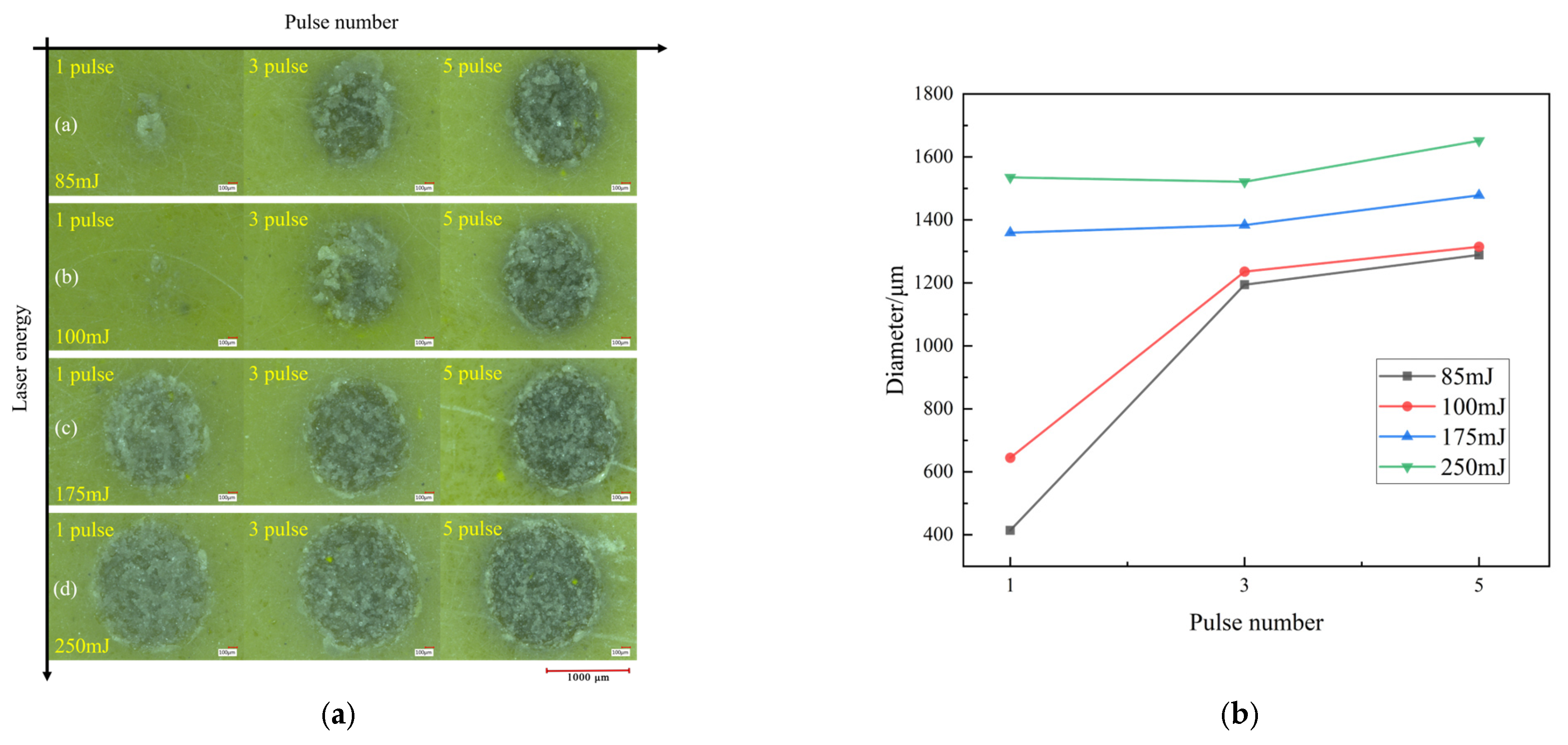 Photonics 12 00526 g002
